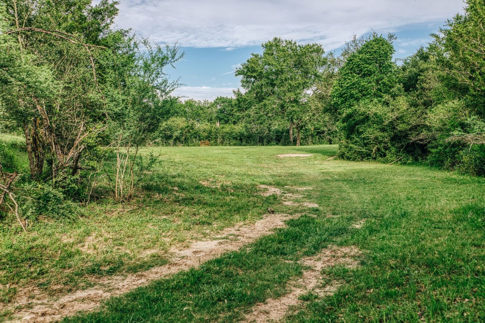 19576 Pickens Road Washington, TX 77880 - Photo 41 of 44
