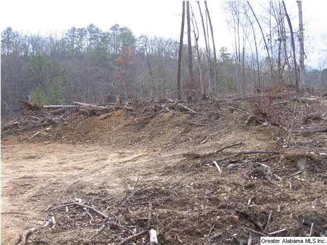 720 Sportsman Lake Road, Unit 4 2 AC Springville, AL 35146 - Photo 4 of 14