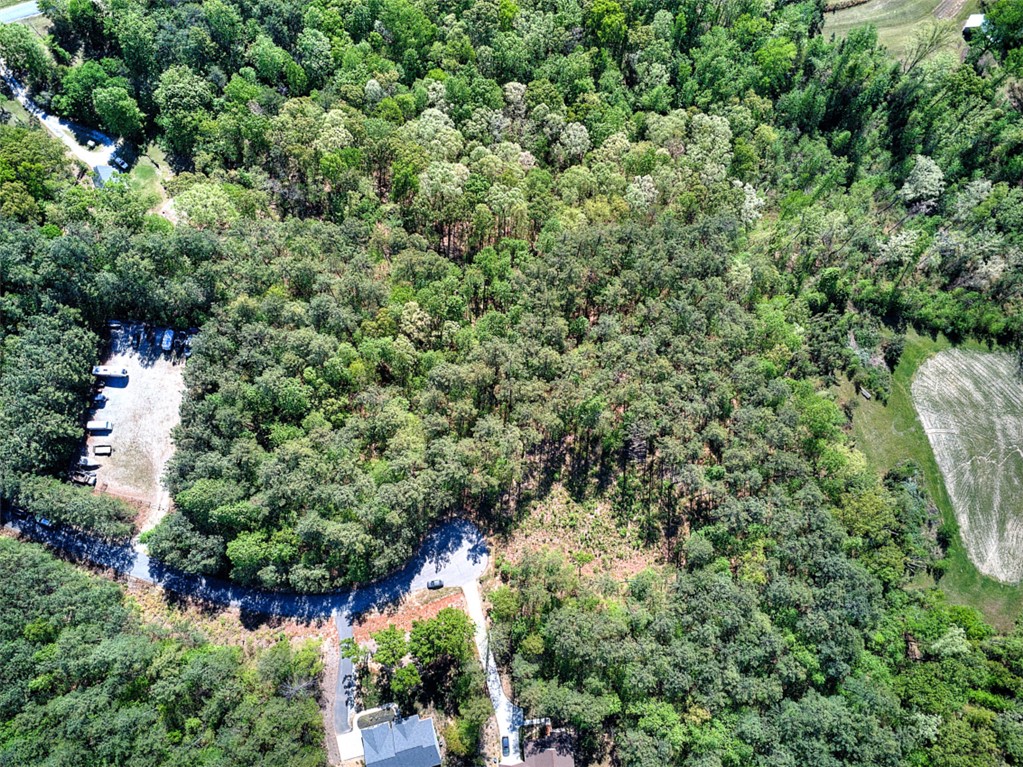 Lot E-29 Pine Ridge Way Salem, SC 29676 - Photo 11 of 11 Vast, verdant landscape offering a tranquil escape with ample natural beauty.