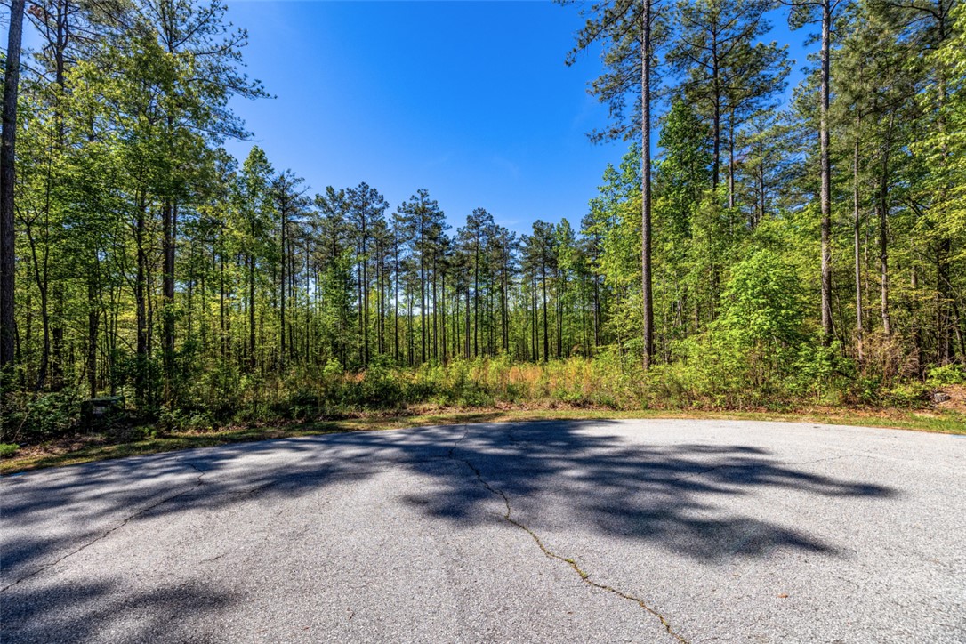 Lot E-29 Pine Ridge Way Salem, SC 29676 - Photo 2 of 11 A tranquil wooded lot offers a peaceful retreat for your future home.