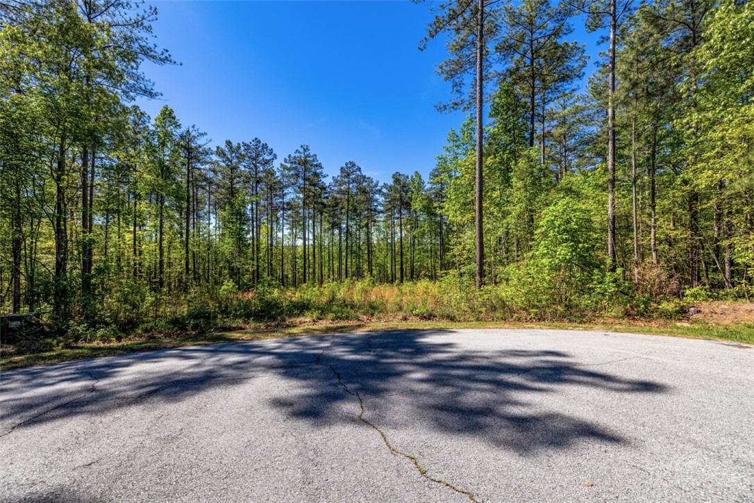 Lot E-29 Pine Ridge Way Salem, SC 29676 - Photo 4 of 11 Mature trees frame this expansive lot, offering a natural setting and ample privacy.