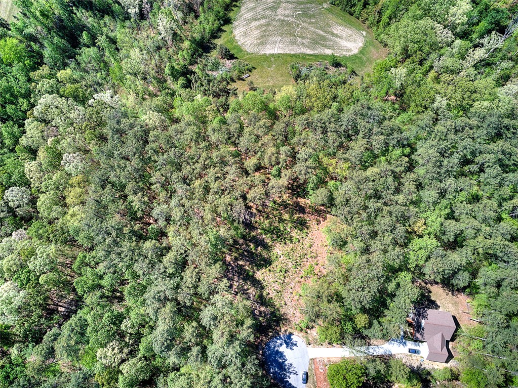 Lot E-29 Pine Ridge Way Salem, SC 29676 - Photo 6 of 11 This aerial view showcases a vast expanse of lush, mature trees, offering unparalleled privacy and natural beauty.