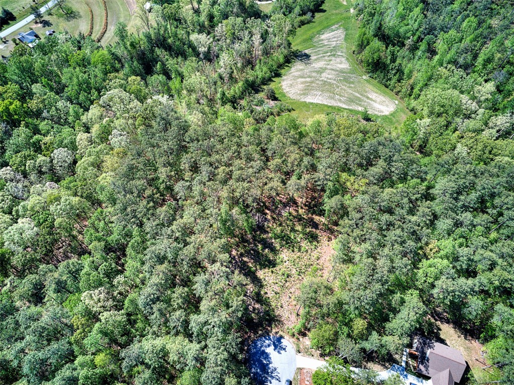 Lot E-29 Pine Ridge Way Salem, SC 29676 - Photo 7 of 11 A verdant, expansive lot offers a tranquil setting for your future home.