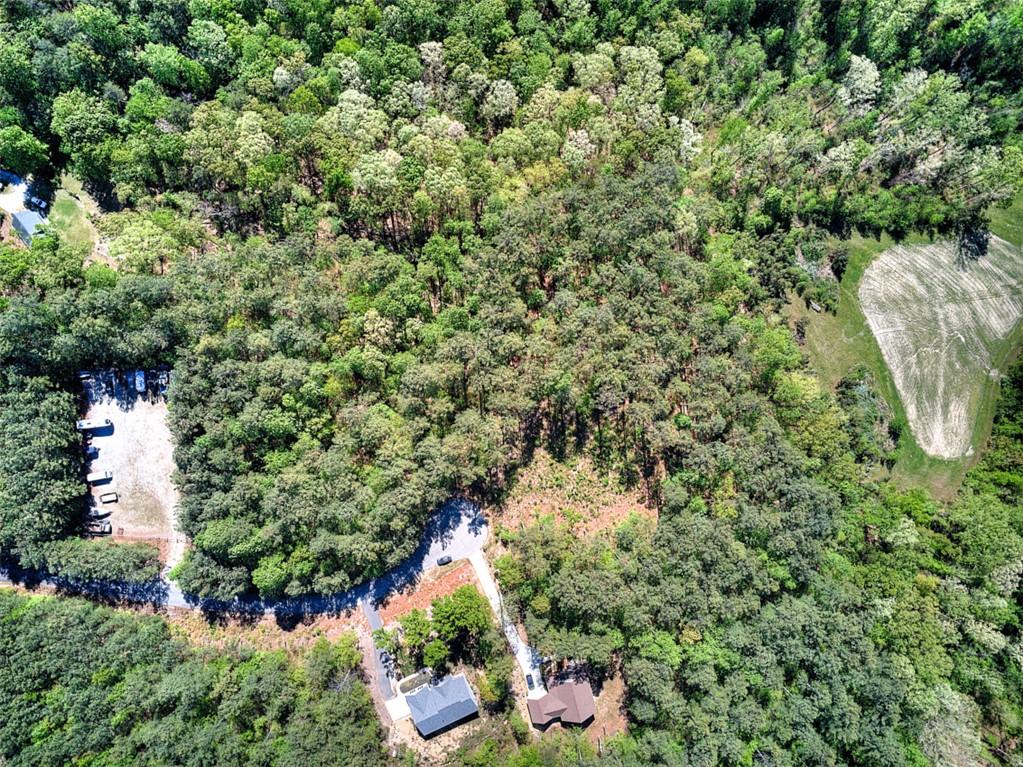 Lot E-29 Pine Ridge Way Salem, SC 29676 - Photo 9 of 11 Vast, verdant landscape offering expansive natural surroundings and a secluded feel.