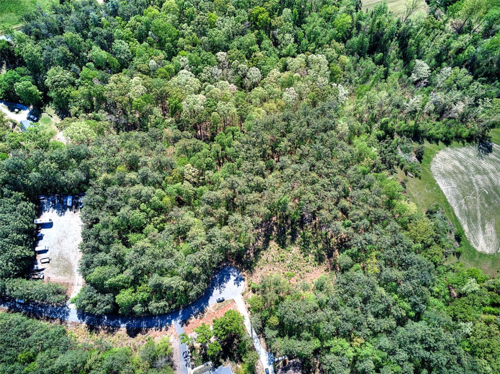 Lot E-29 Pine Ridge Way Salem, SC 29676 - Photo 10 of 11 This aerial view showcases a vibrant, expansive lot surrounded by mature trees.