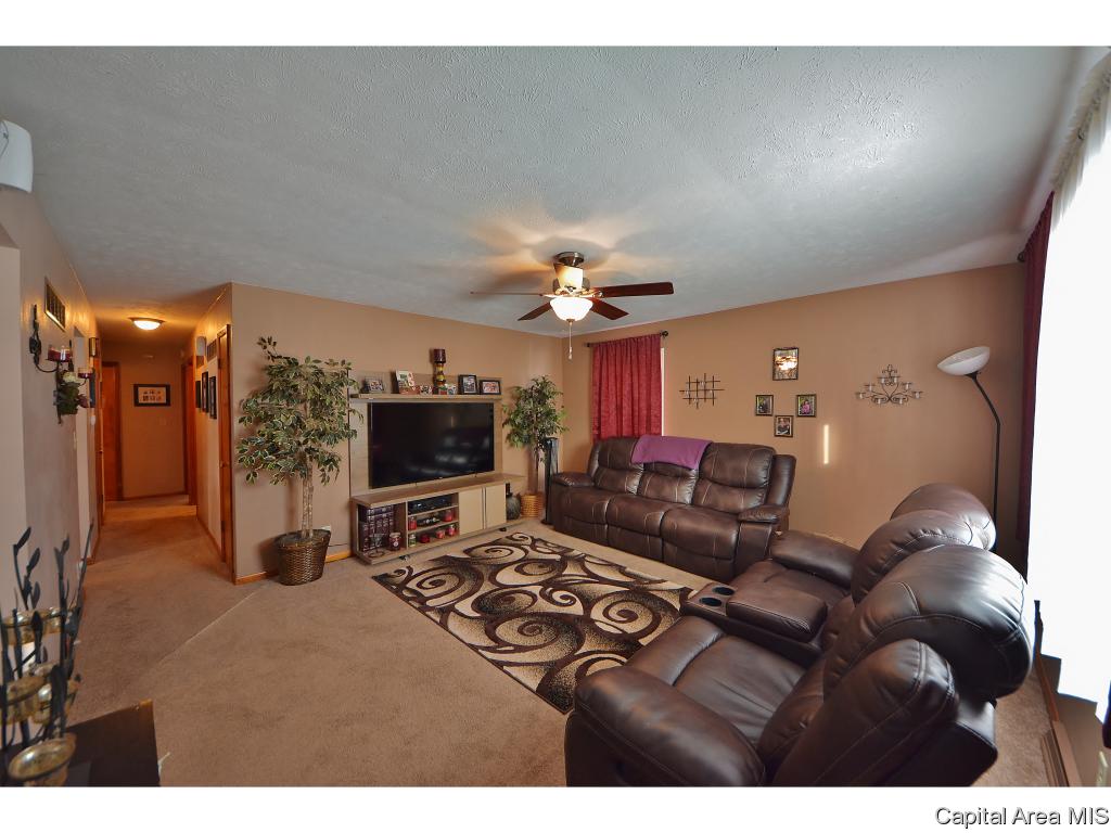 1025 North 8th Street Springfield, IL 62702 - Photo 3 of 28