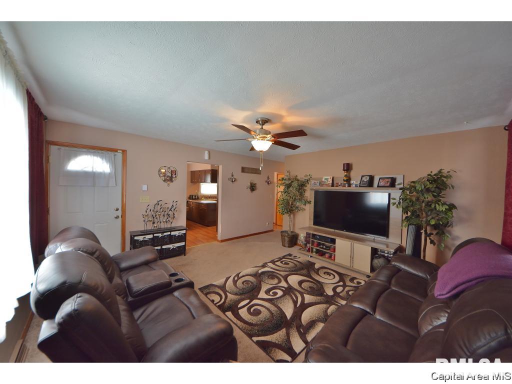 1025 North 8th Street Springfield, IL 62702 - Photo 5 of 28