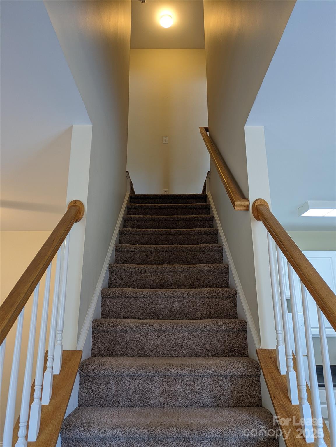 917 Shearer Street, Unit 20 Davidson, NC 28036 - Photo 15 of 33