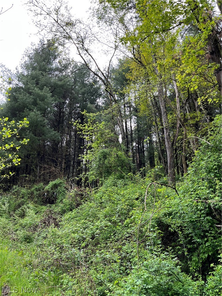 Angel Valley Road Stone Creek, OH 43840 - Photo 5 of 14 Gallery Image 5