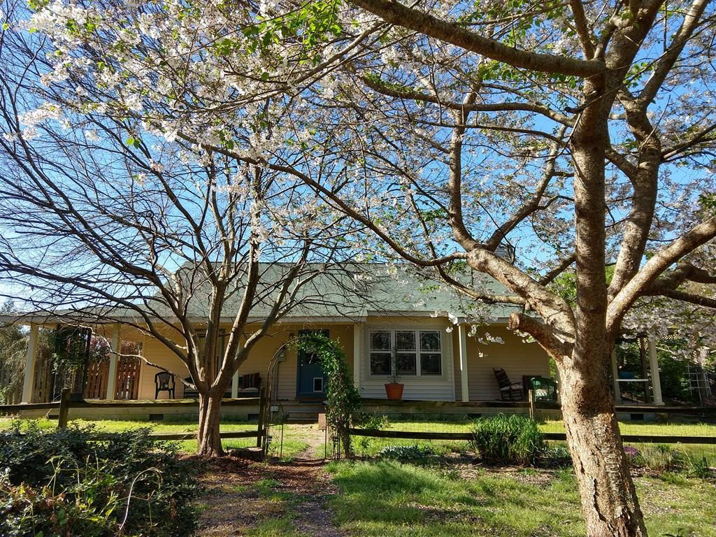 351 North Windsor Road Windsor, SC 29856 - Photo 2 of 39