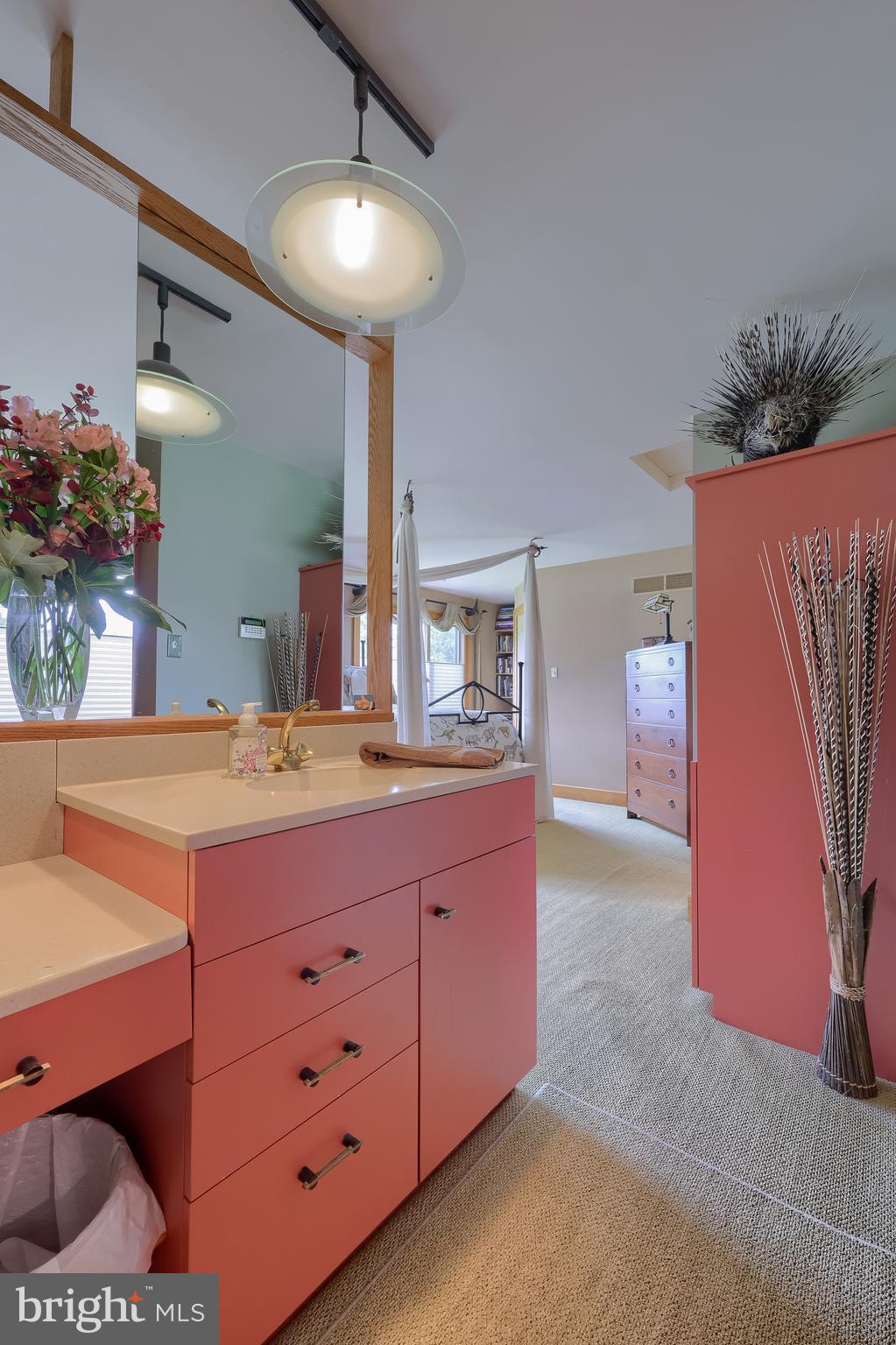 5776 Pheasant Run Road Hellam, PA 17406 - Photo 24 of 56 a bathroom with a sink a potted plant and a mirror