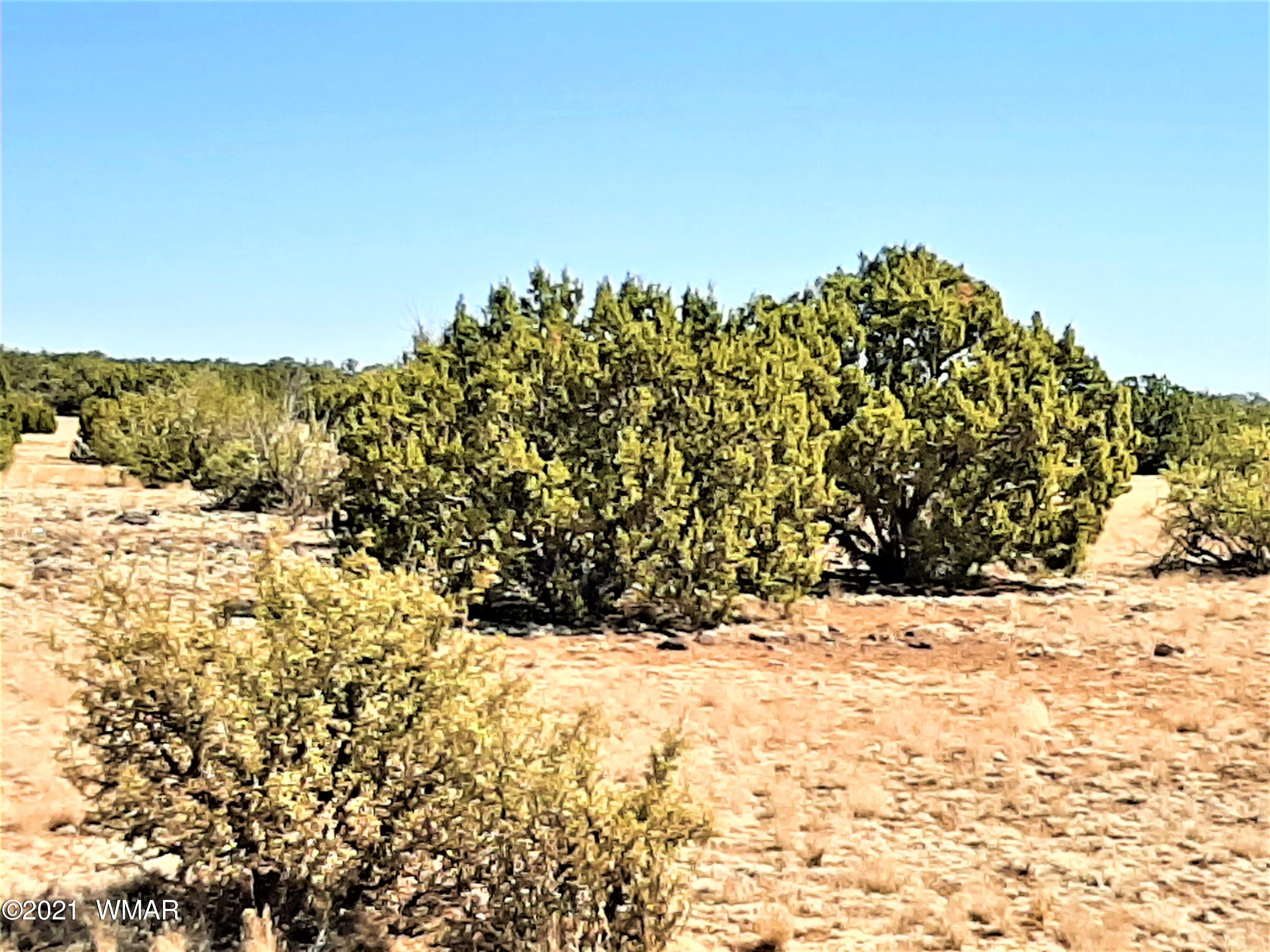 8732 Supancheck Road Show Low, AZ 85901 - Photo 10 of 13 Gallery Image 10