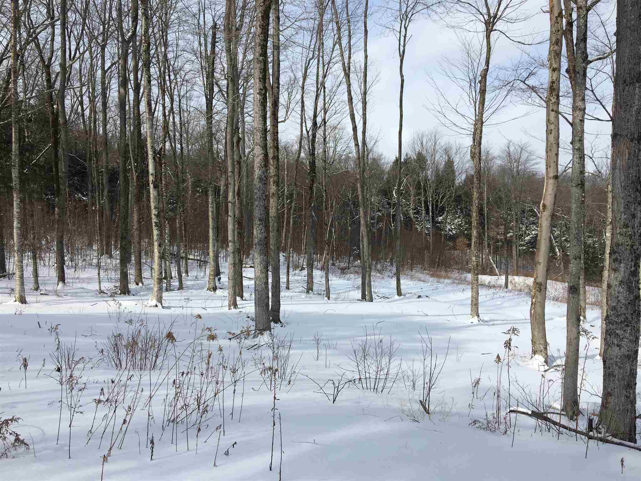 0 Stratton Gardens Road, Unit 23/24 Winhall, VT 05340 - Photo 3 of 4