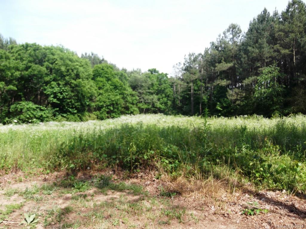 5664 Bill Sain Road Vale, NC 28168 - Photo 22 of 24 a view of outdoor space and yard