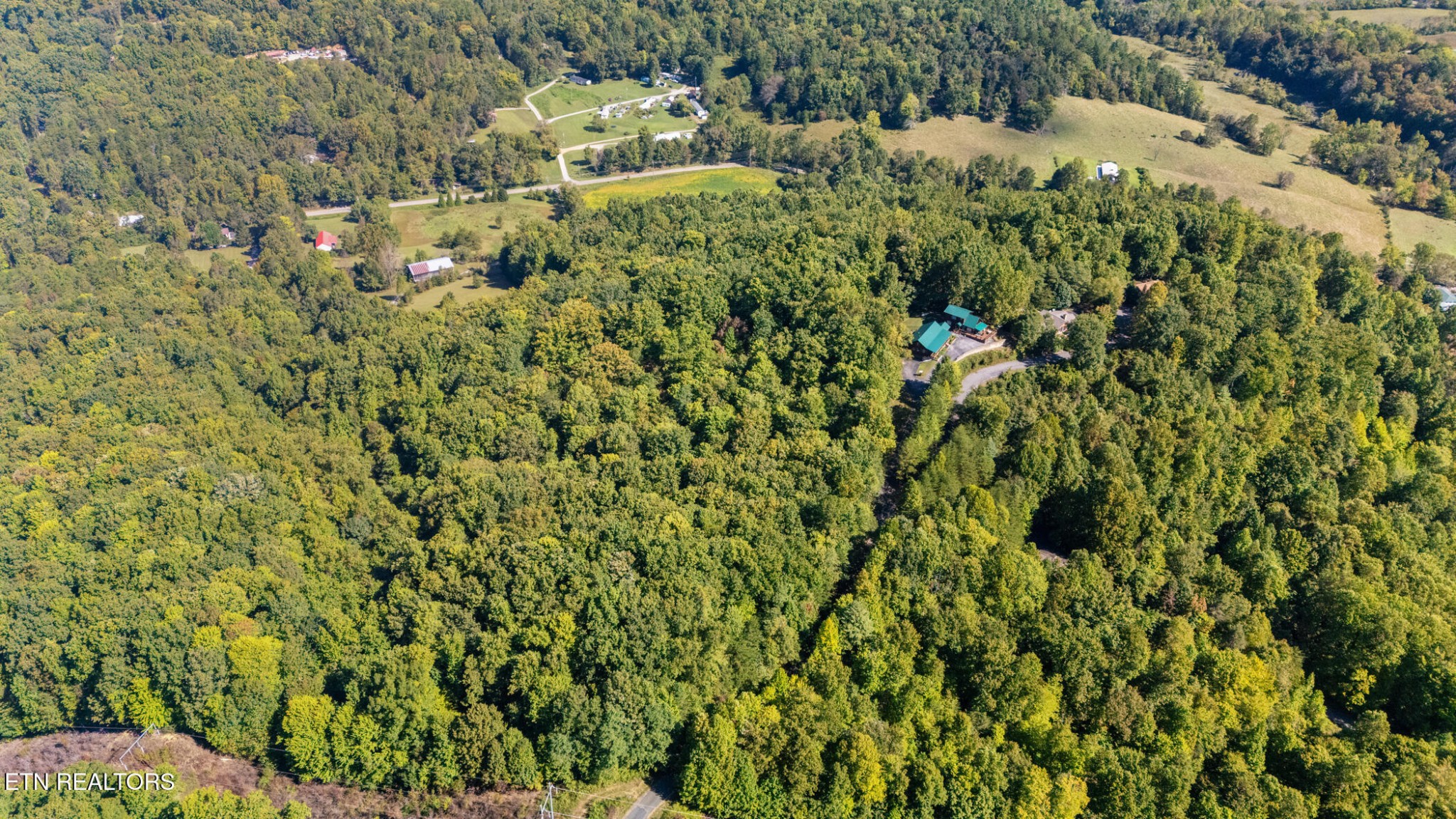 0 Jones Cove Road Cosby, TN 37722 - Photo 5 of 10