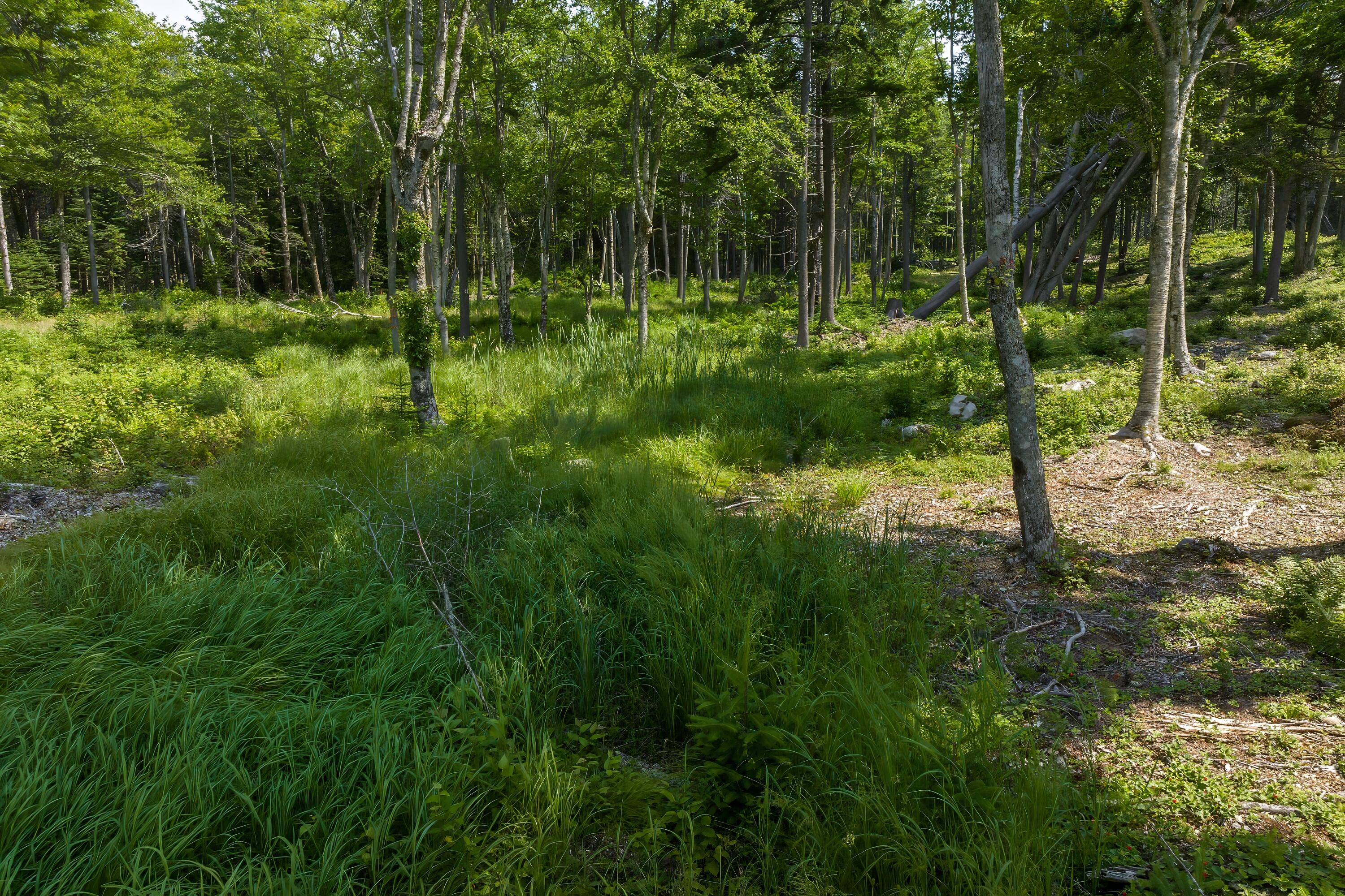 240 Estates Road, Unit LOT #20 Steuben, ME 04680 - Photo 15 of 17 Lot 20 (10)
