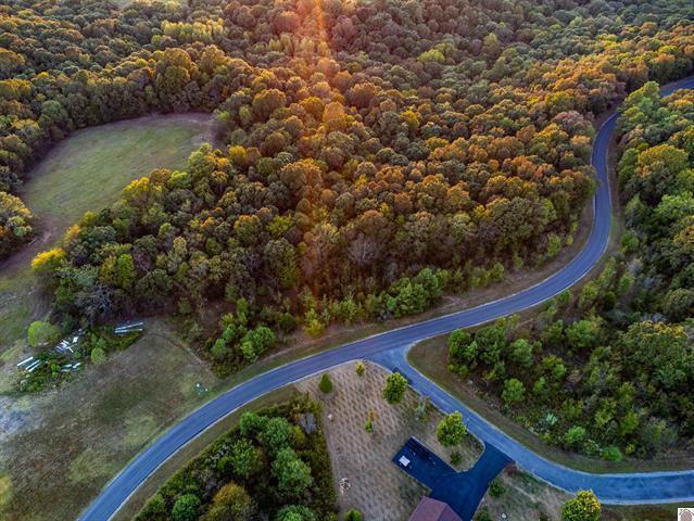 Lot 80 Waterfowl Road Murray, KY 42071 - Photo 7 of 21 20260711020559417993000000-o