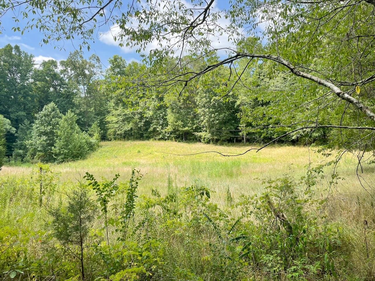 205 Jones Road Savannah, TN 38372 - Photo 3 of 18 Gallery Image 3