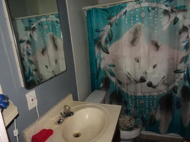 a bathroom with a sink and mirror with toilet