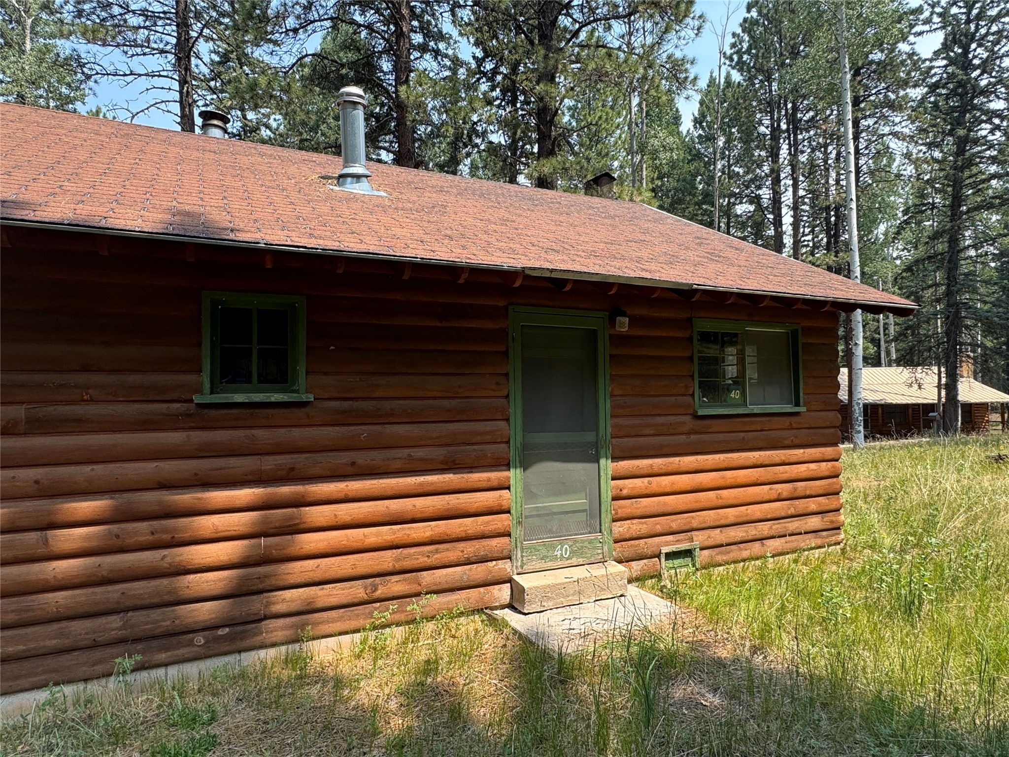 40 Grass Mountain Road Tererro, NM 87573 - Photo 2 of 23 Gallery Image 2