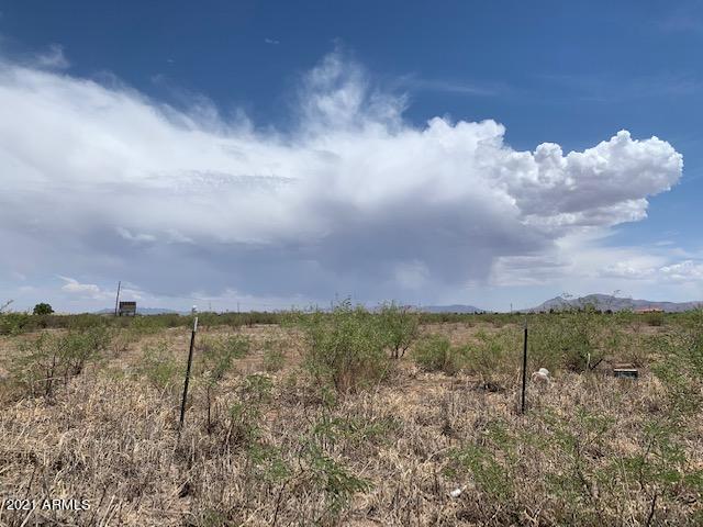 33.35-acre East Bagwell Road Douglas, AZ 85607 - Photo 4 of 9 a view of a yard