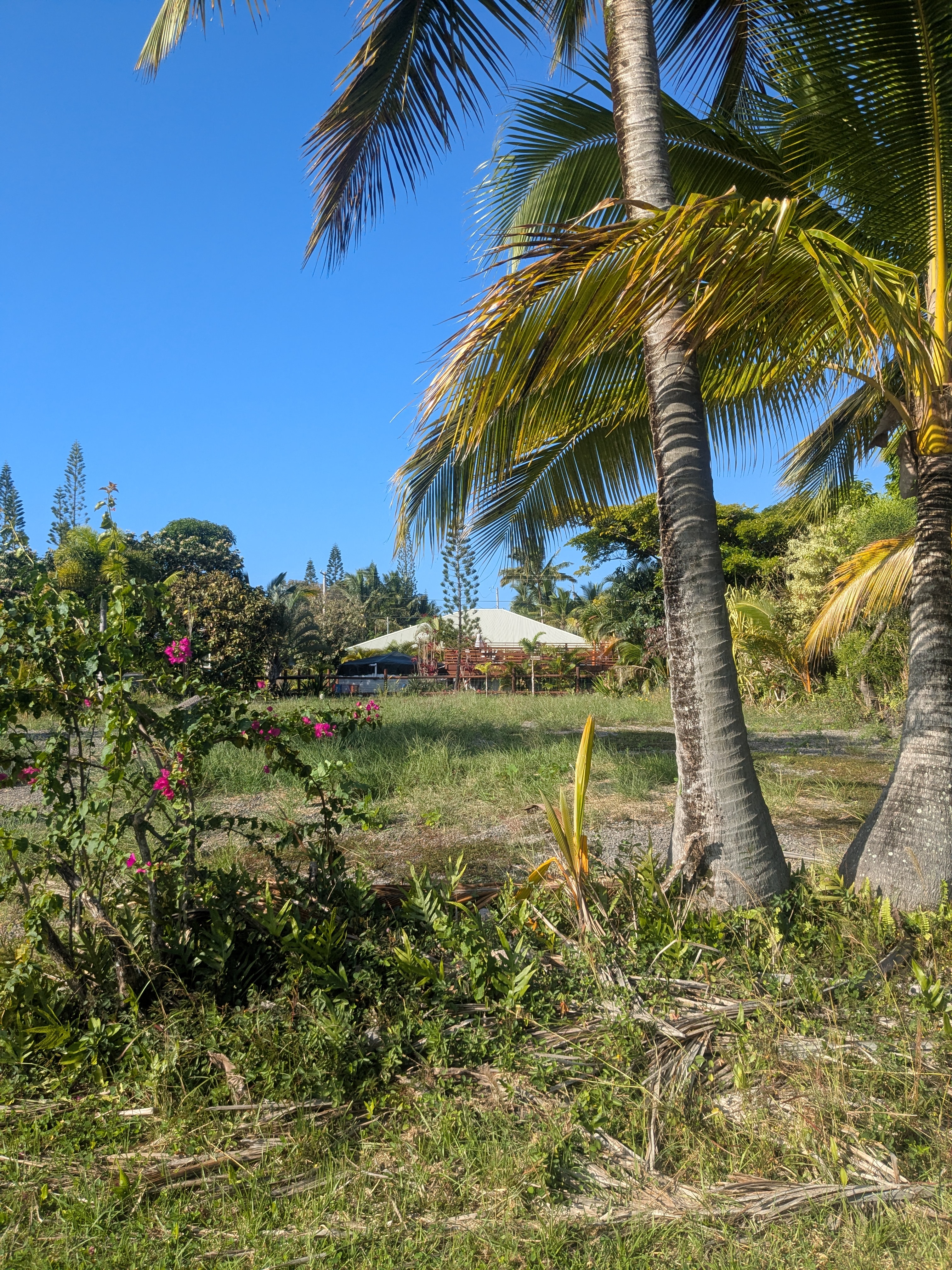 3 Mapuana Avenue Pahoa, HI 96778 - Photo 1 of 8 a view of a house with a yard