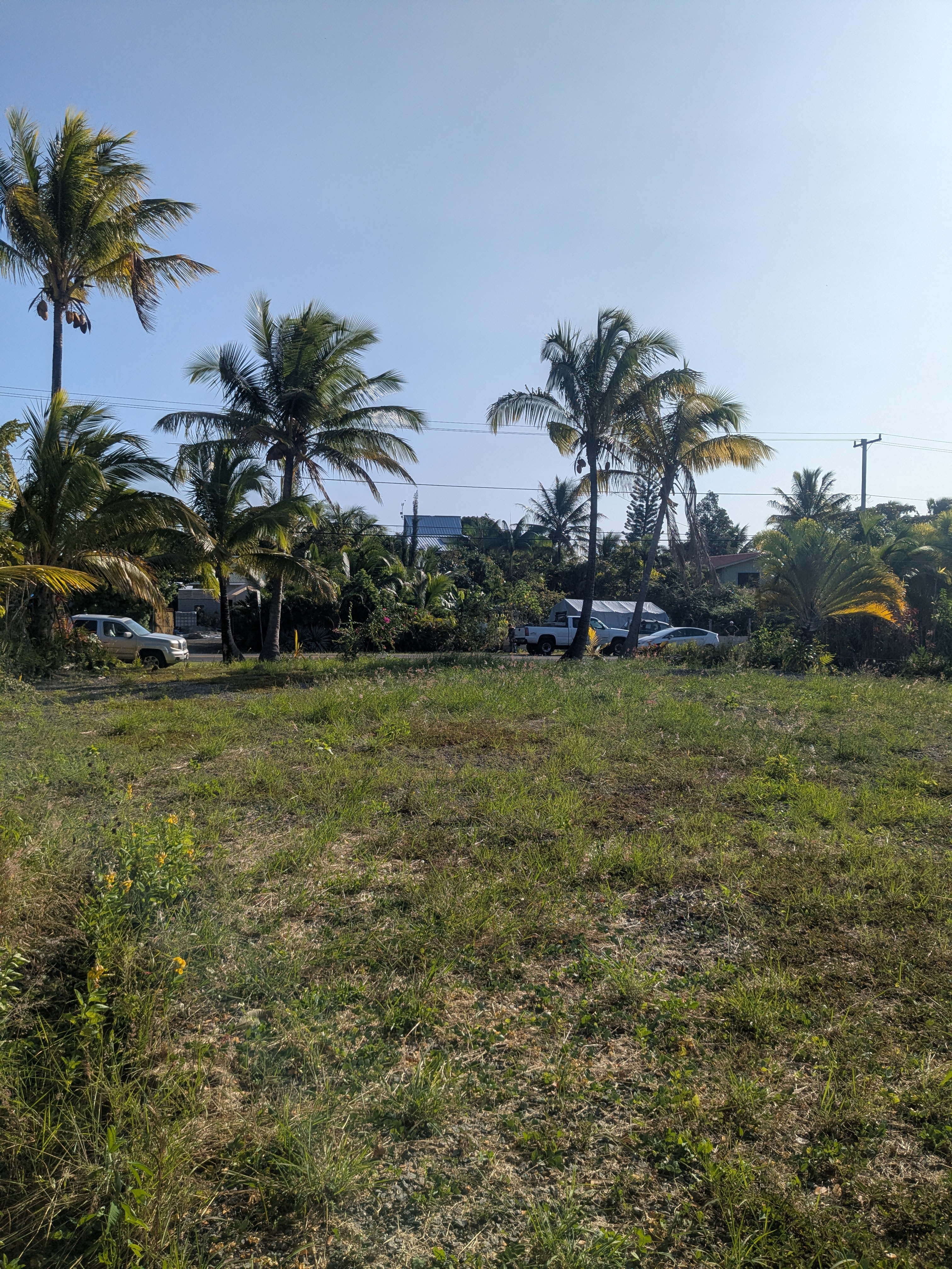 3 Mapuana Avenue Pahoa, HI 96778 - Photo 3 of 8 a view of a park