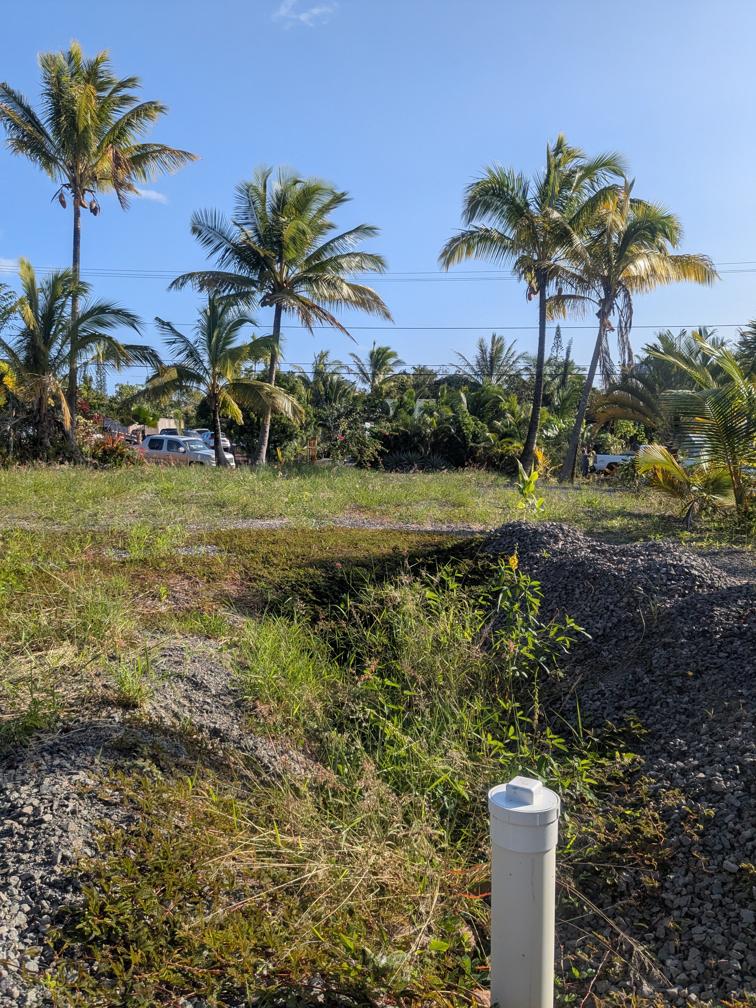 3 Mapuana Avenue Pahoa, HI 96778 - Photo 5 of 8 a view of a backyard of the house