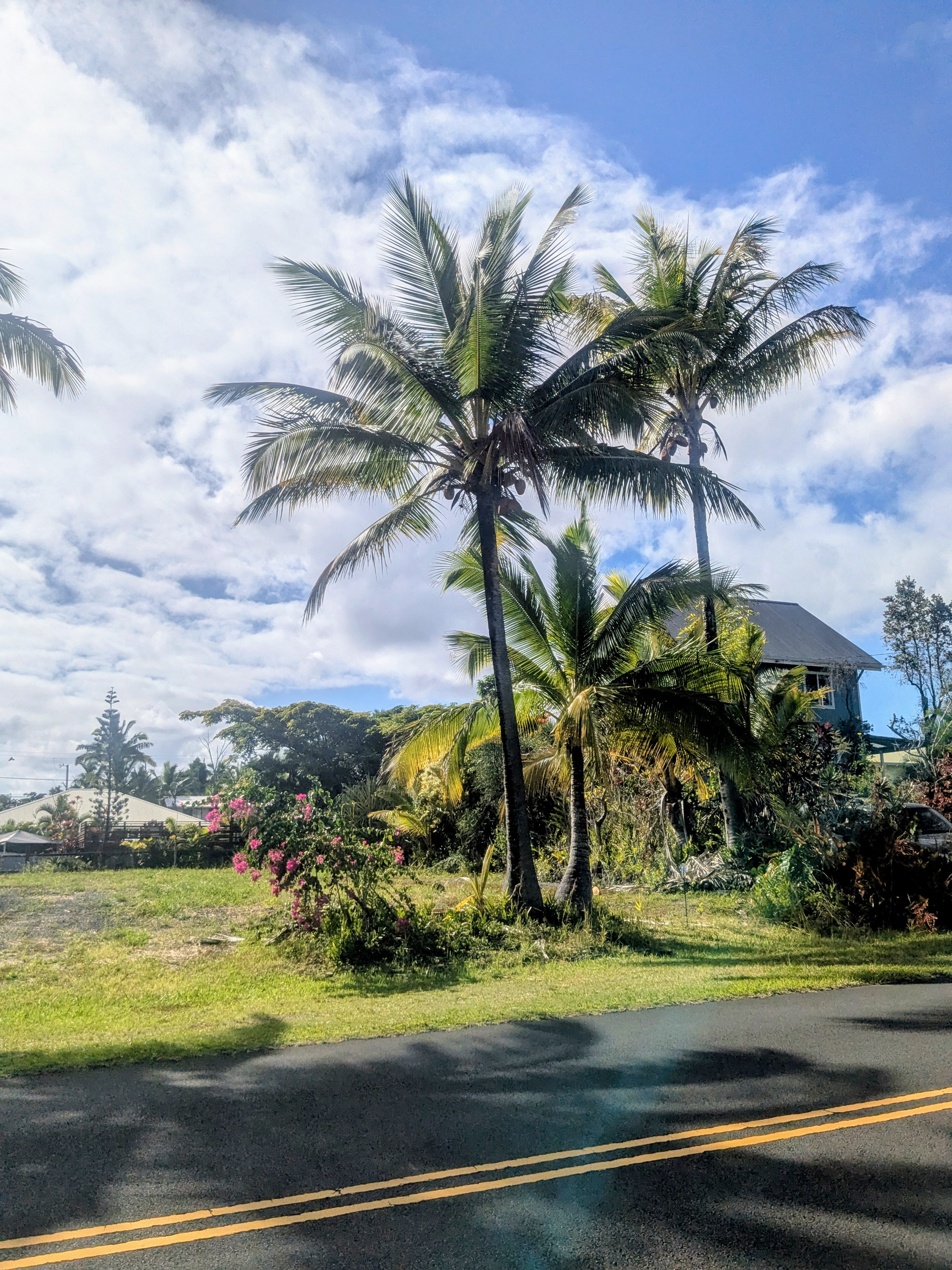 3 Mapuana Avenue Pahoa, HI 96778 - Photo 6 of 8 a view of a yard with an outdoor space