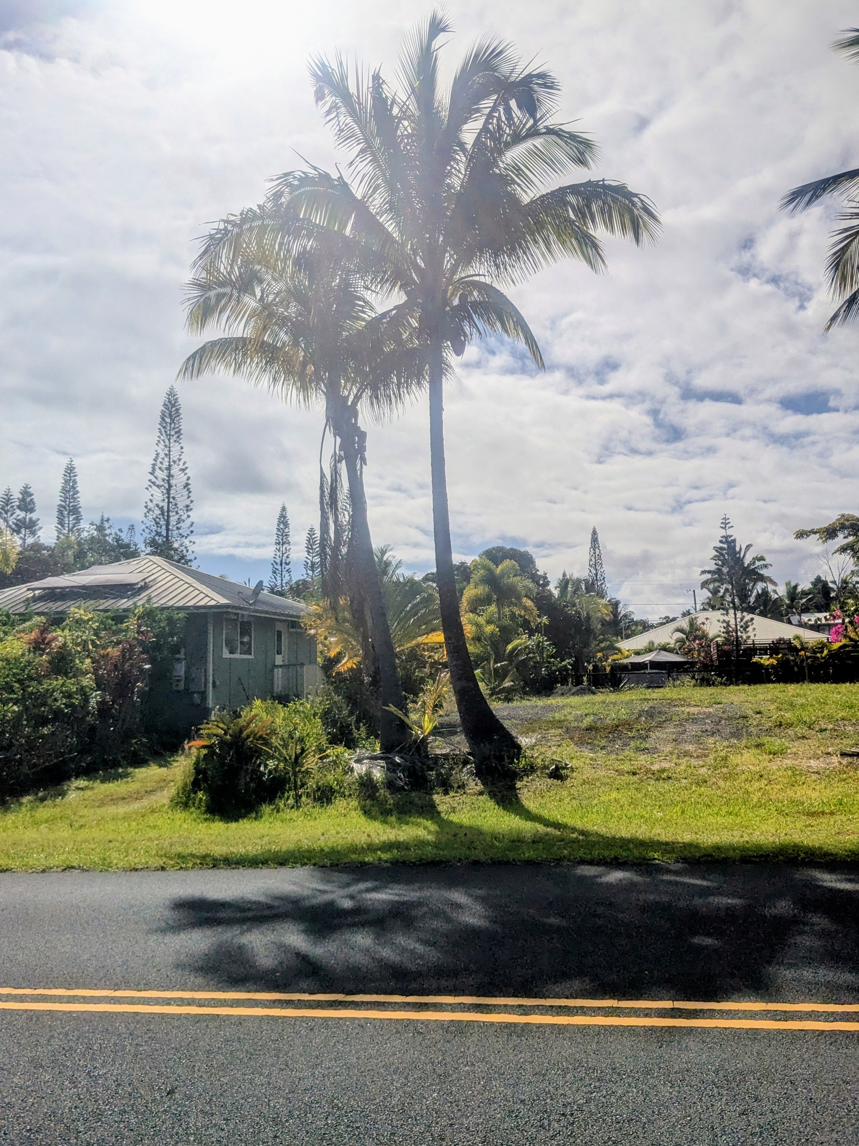3 Mapuana Avenue Pahoa, HI 96778 - Photo 8 of 8 a view of a yard with an outdoor space