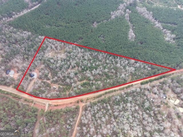 301 Beaver Dam Road Toomsboro, GA 31090 - Photo 2 of 99 a view of a dry yard with wooden fence
