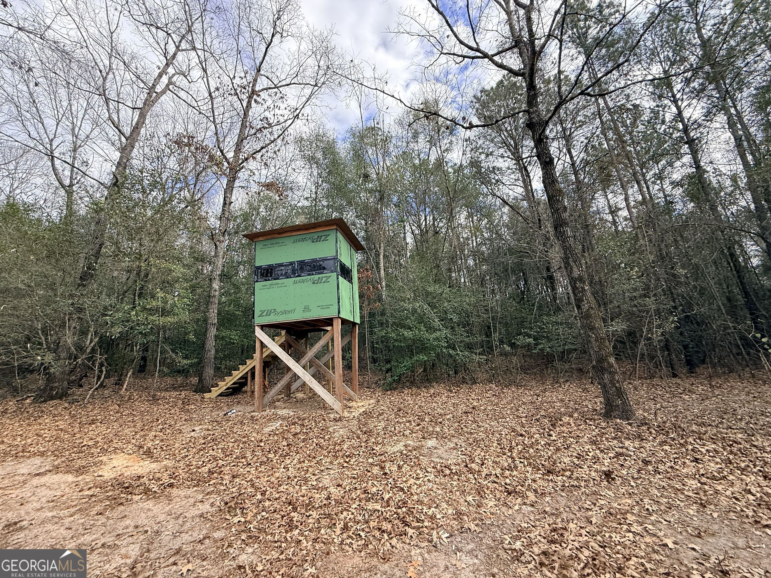 301 Beaver Dam Road Toomsboro, GA 31090 - Photo 49 of 99