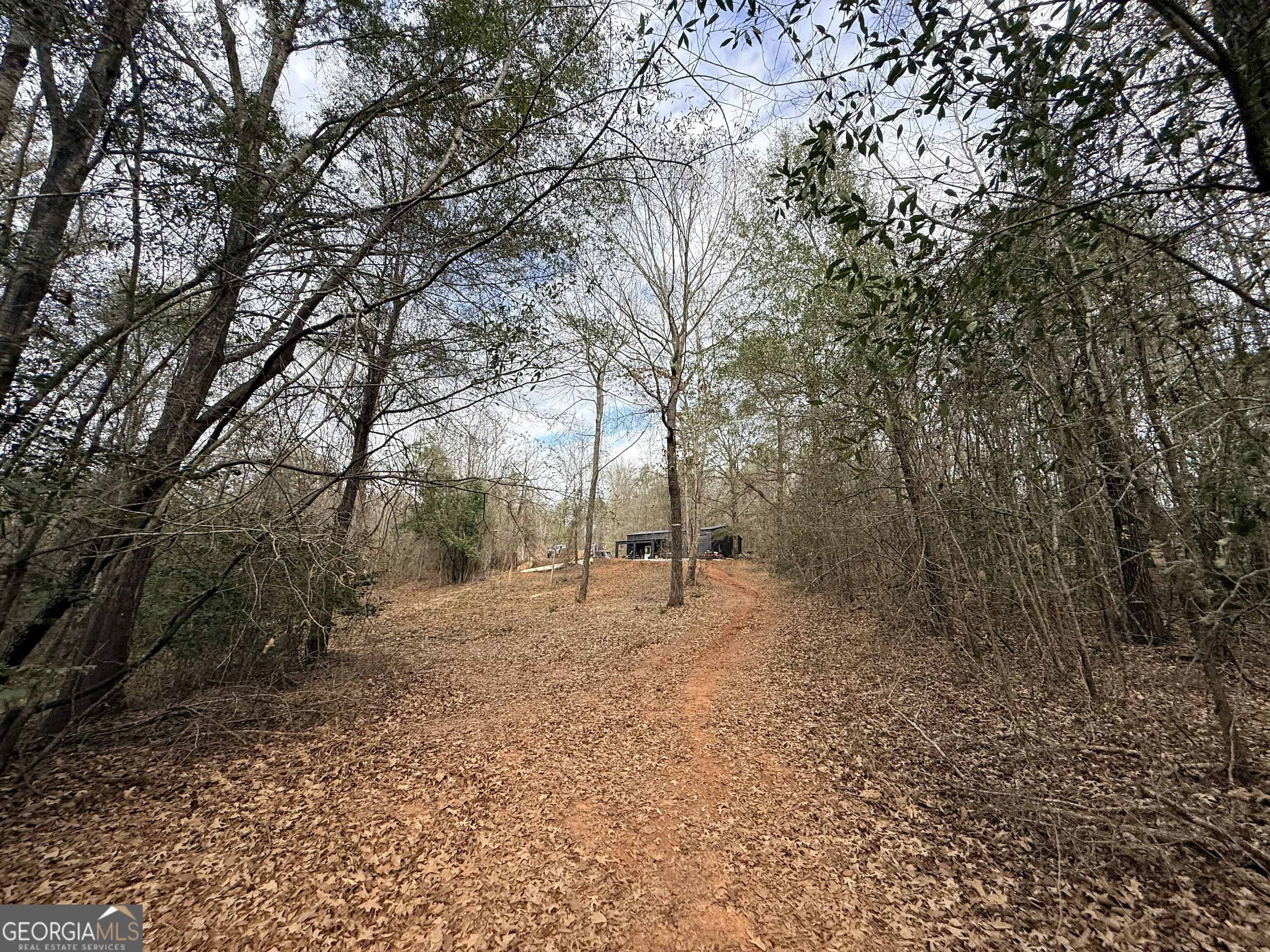 301 Beaver Dam Road Toomsboro, GA 31090 - Photo 50 of 99 a view of a yard with large trees