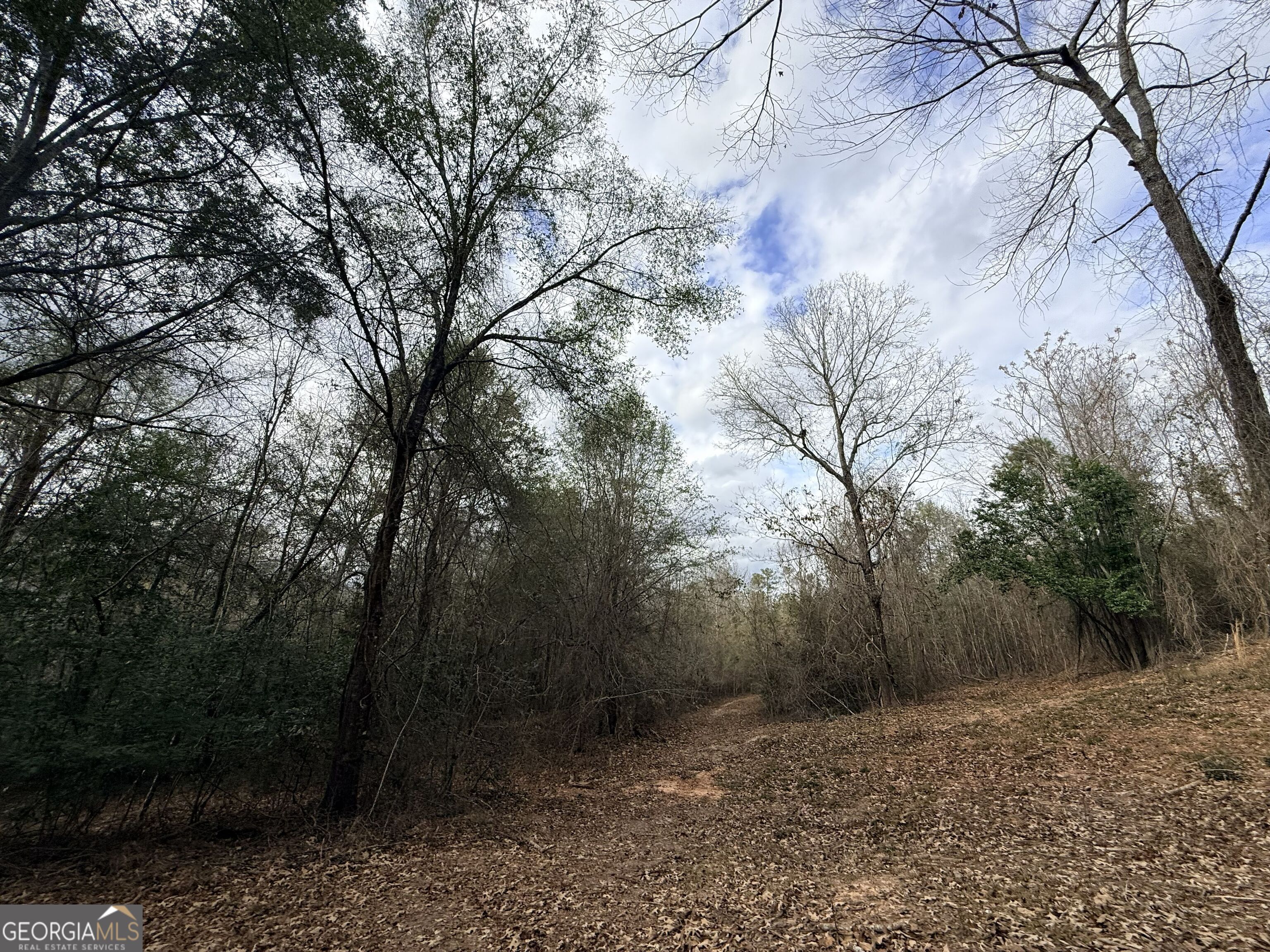 301 Beaver Dam Road Toomsboro, GA 31090 - Photo 51 of 99