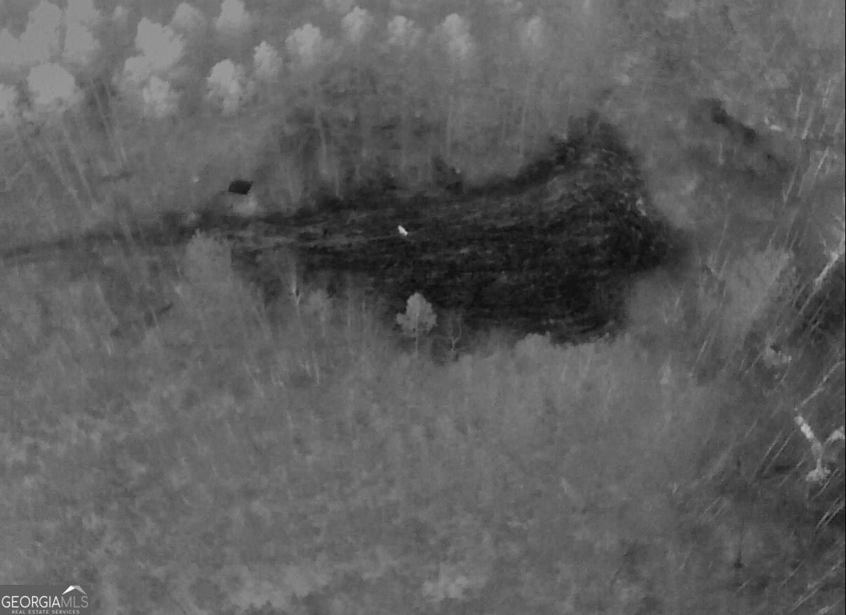 301 Beaver Dam Road Toomsboro, GA 31090 - Photo 52 of 99