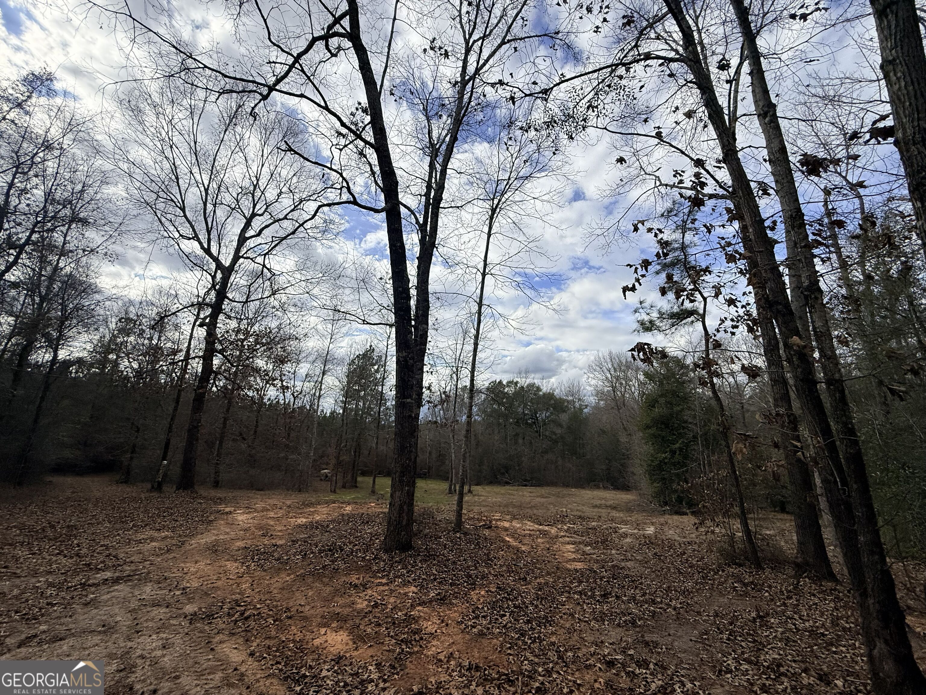 301 Beaver Dam Road Toomsboro, GA 31090 - Photo 60 of 99 a view of a forest filled with trees