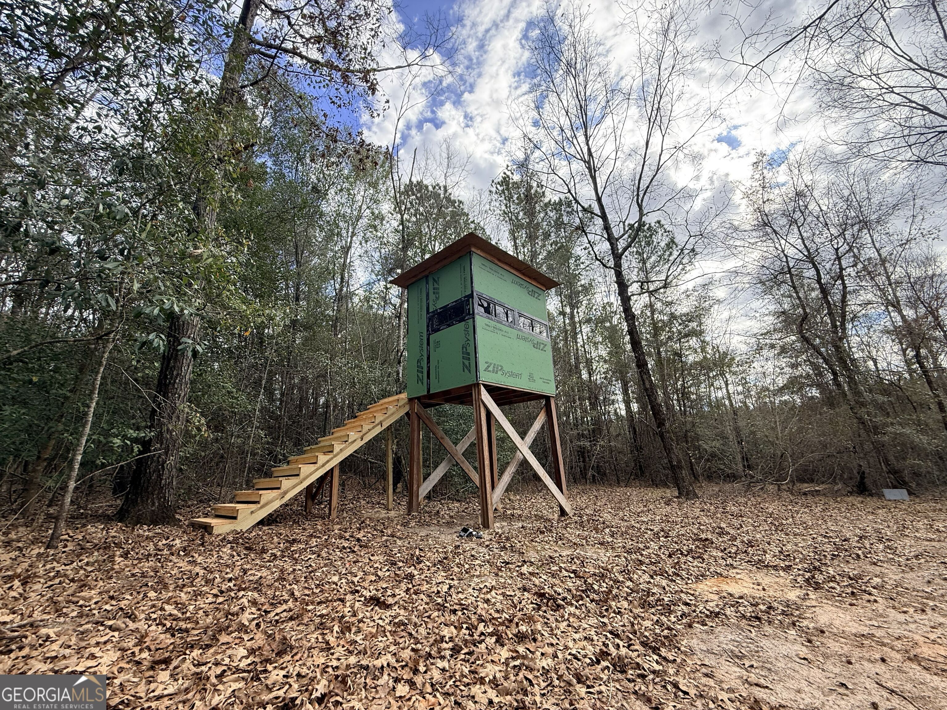 301 Beaver Dam Road Toomsboro, GA 31090 - Photo 61 of 99 a backyard of a house with lots of green space