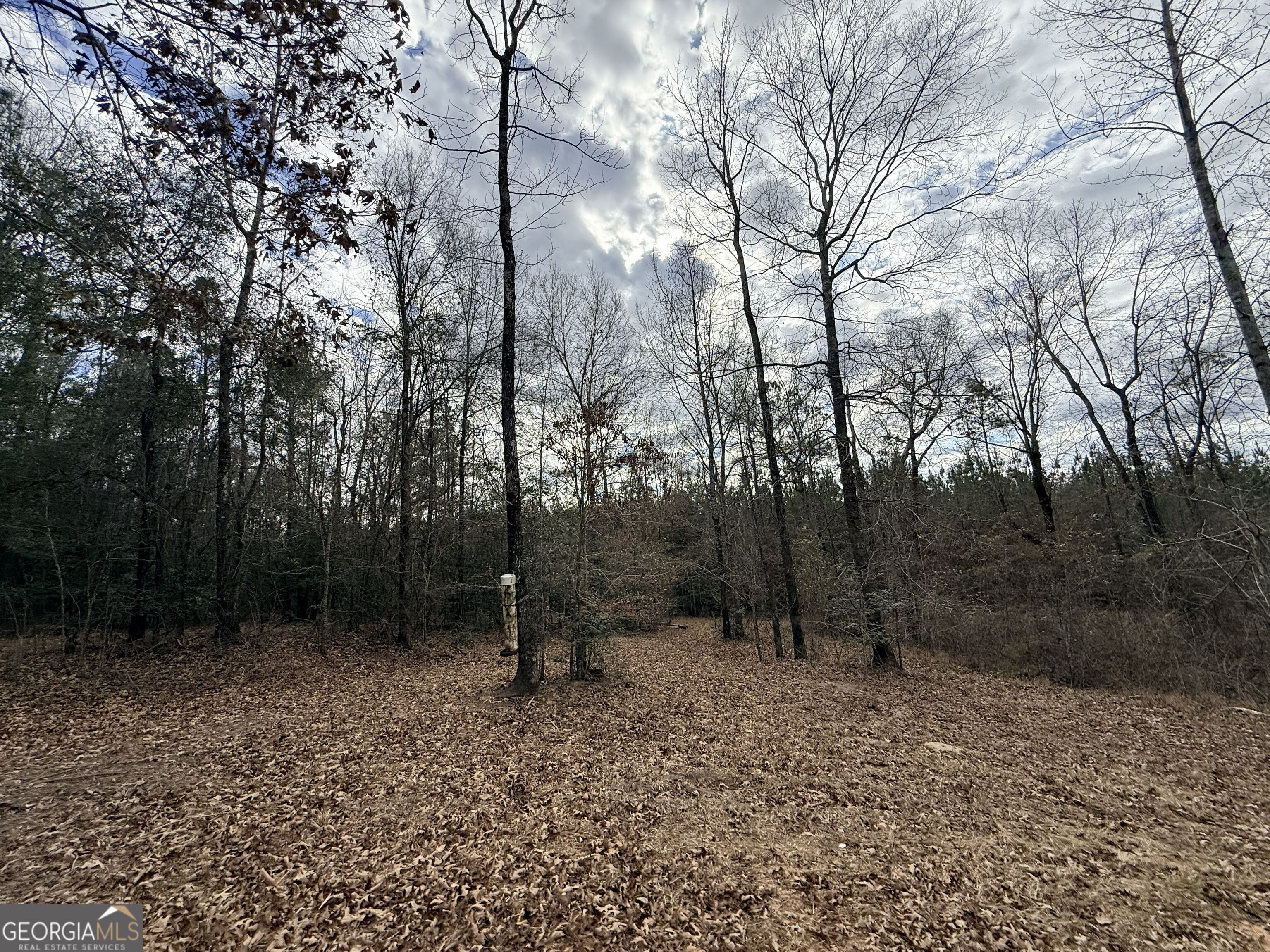 301 Beaver Dam Road Toomsboro, GA 31090 - Photo 72 of 99 a backyard of a house with lots of green space
