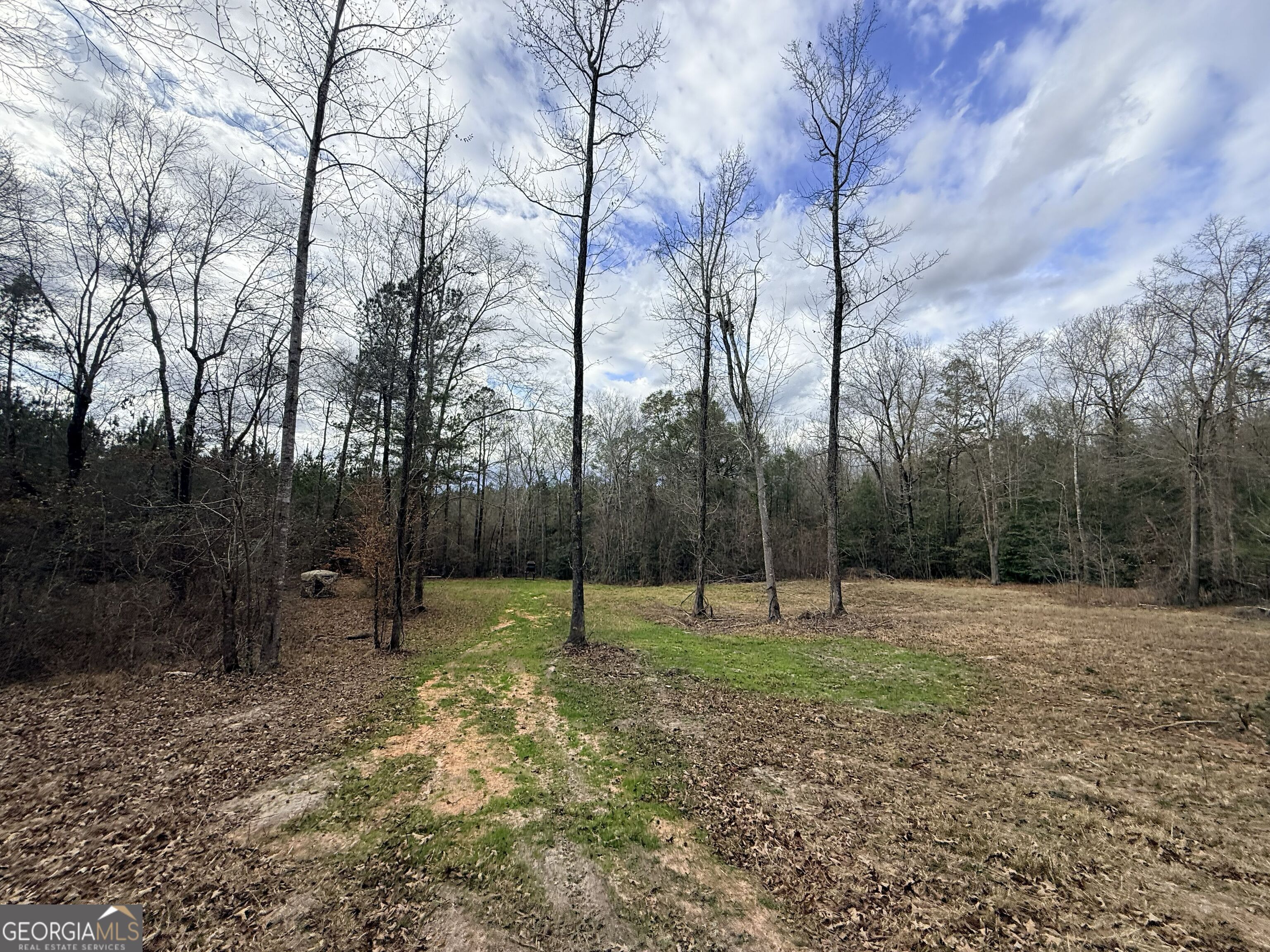 301 Beaver Dam Road Toomsboro, GA 31090 - Photo 73 of 99 a view of outdoor space with trees