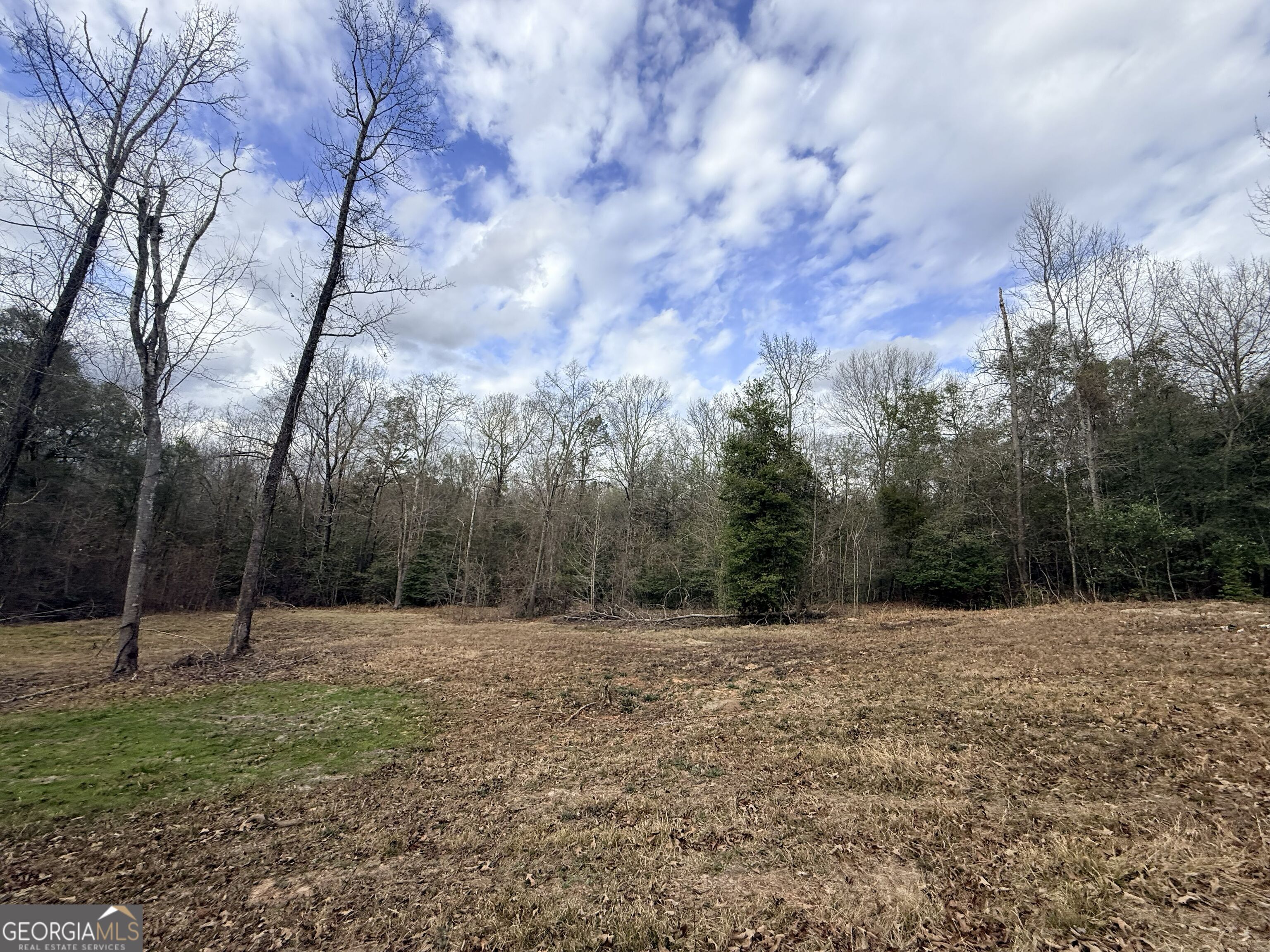 301 Beaver Dam Road Toomsboro, GA 31090 - Photo 74 of 99