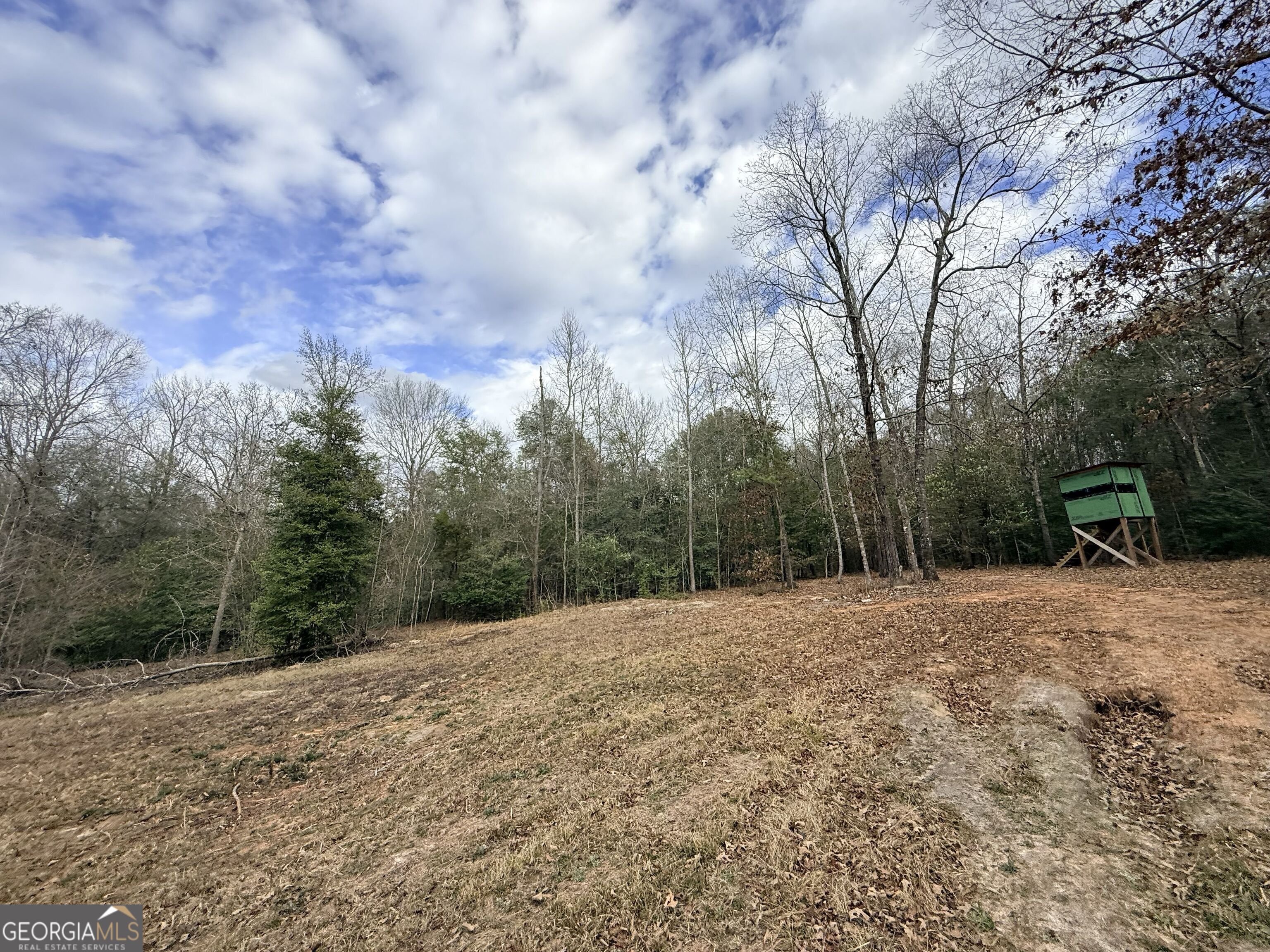 301 Beaver Dam Road Toomsboro, GA 31090 - Photo 75 of 99