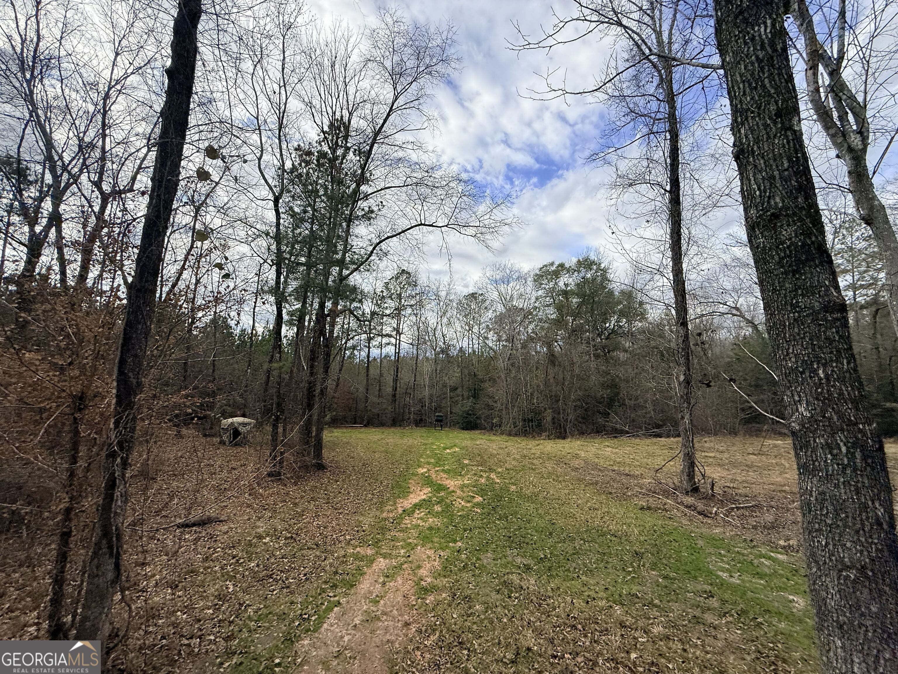 301 Beaver Dam Road Toomsboro, GA 31090 - Photo 76 of 99 a backyard of a house with lots of green space