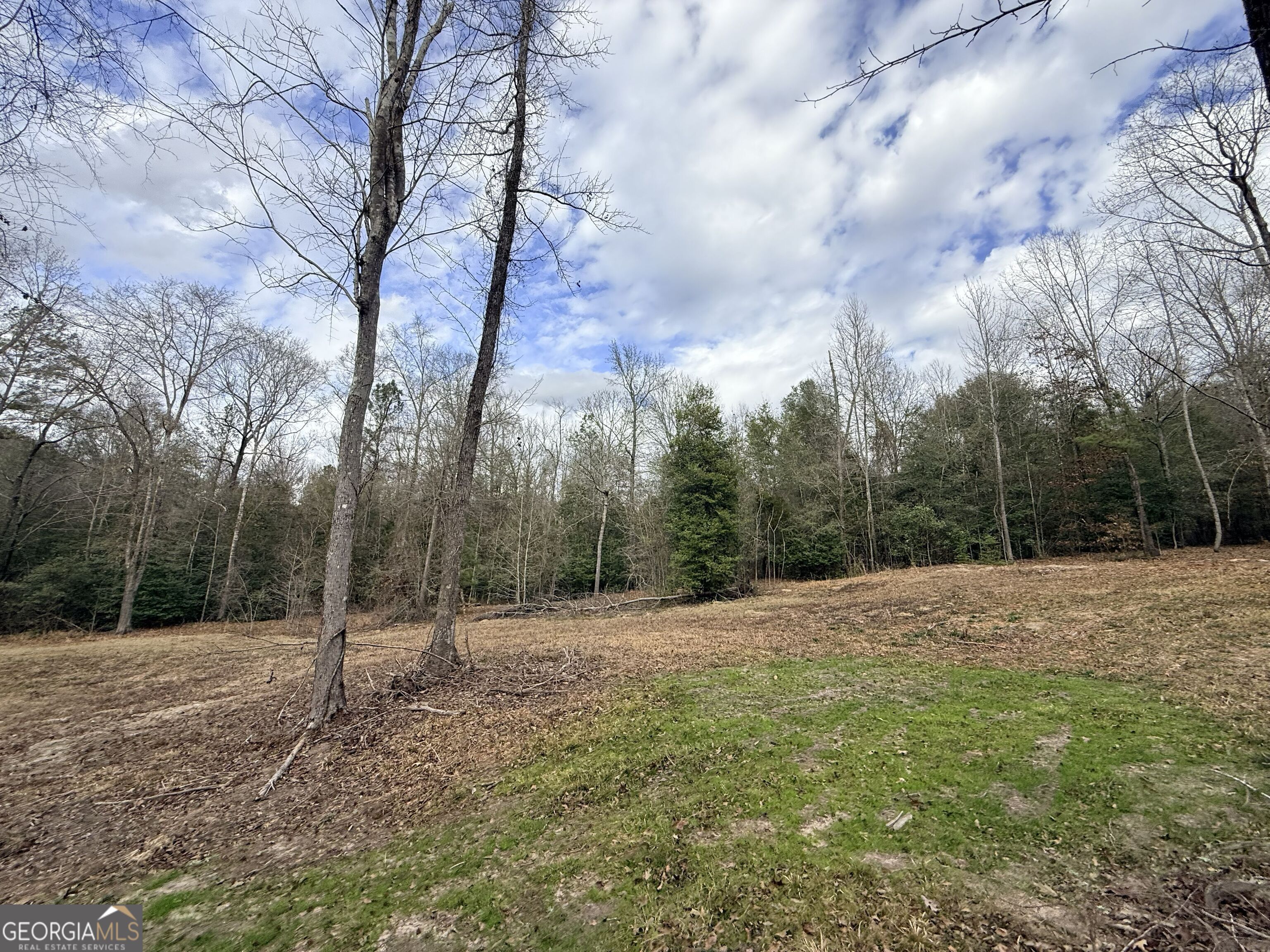 301 Beaver Dam Road Toomsboro, GA 31090 - Photo 77 of 99