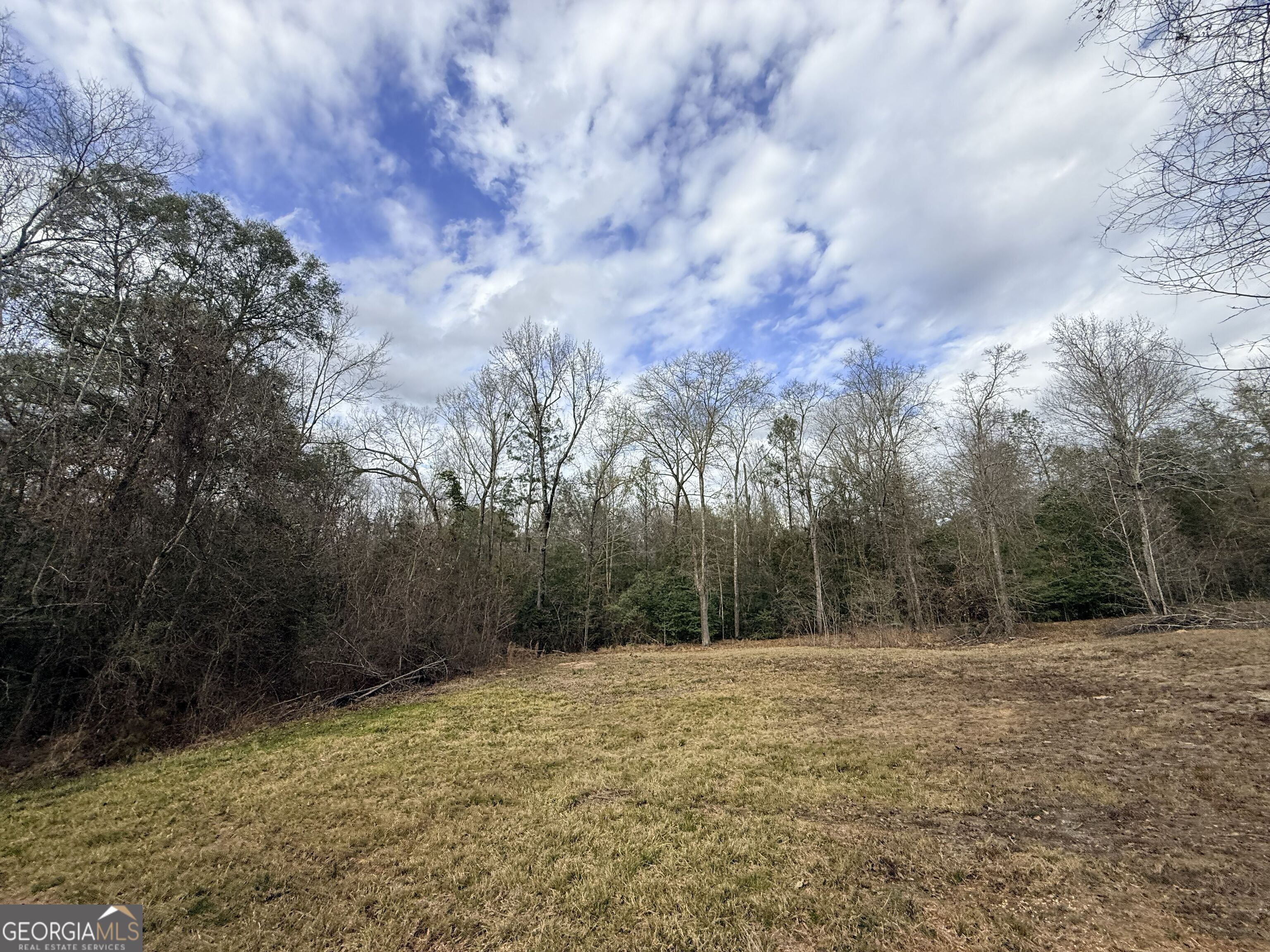 301 Beaver Dam Road Toomsboro, GA 31090 - Photo 78 of 99