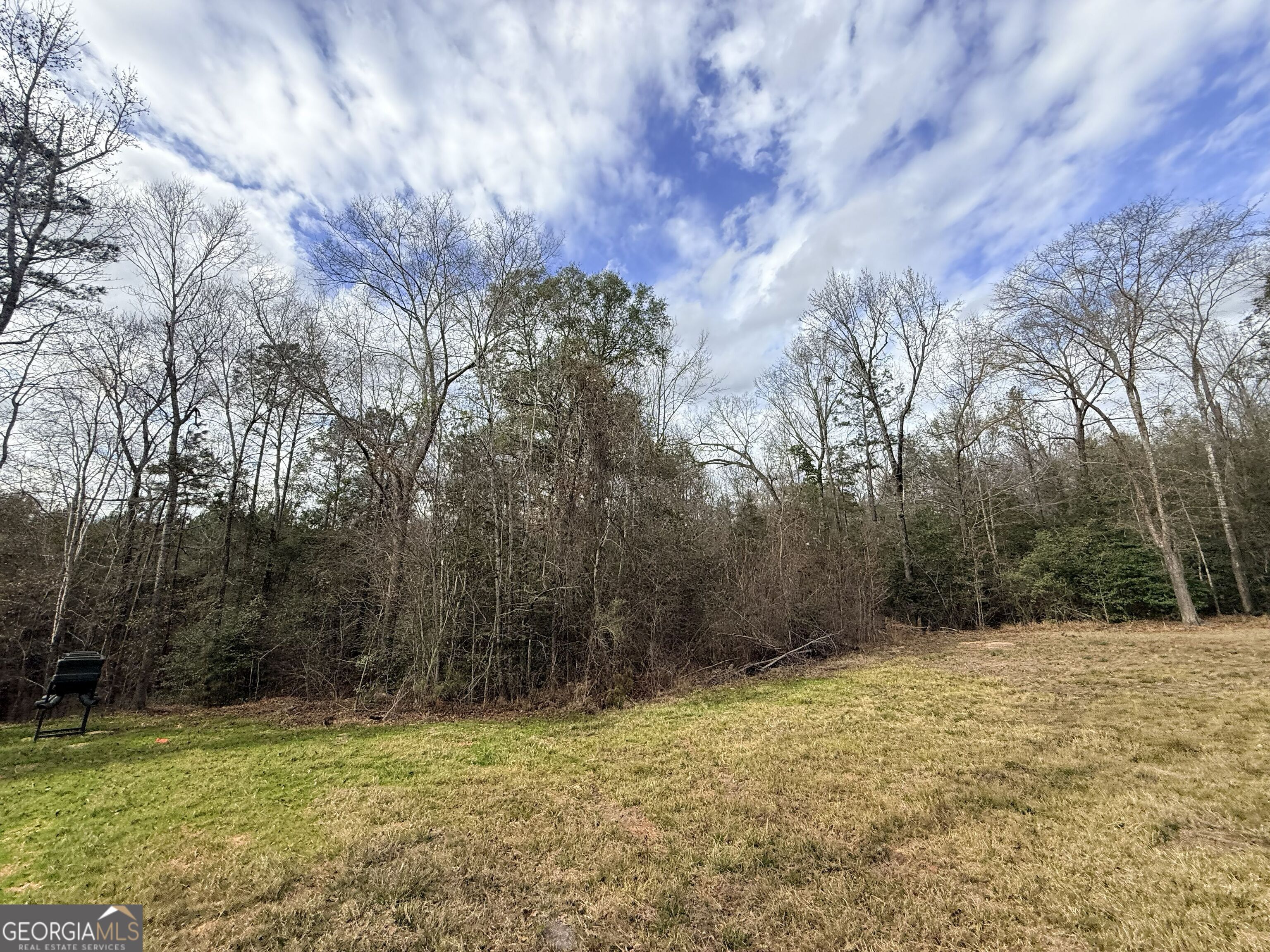 301 Beaver Dam Road Toomsboro, GA 31090 - Photo 80 of 99