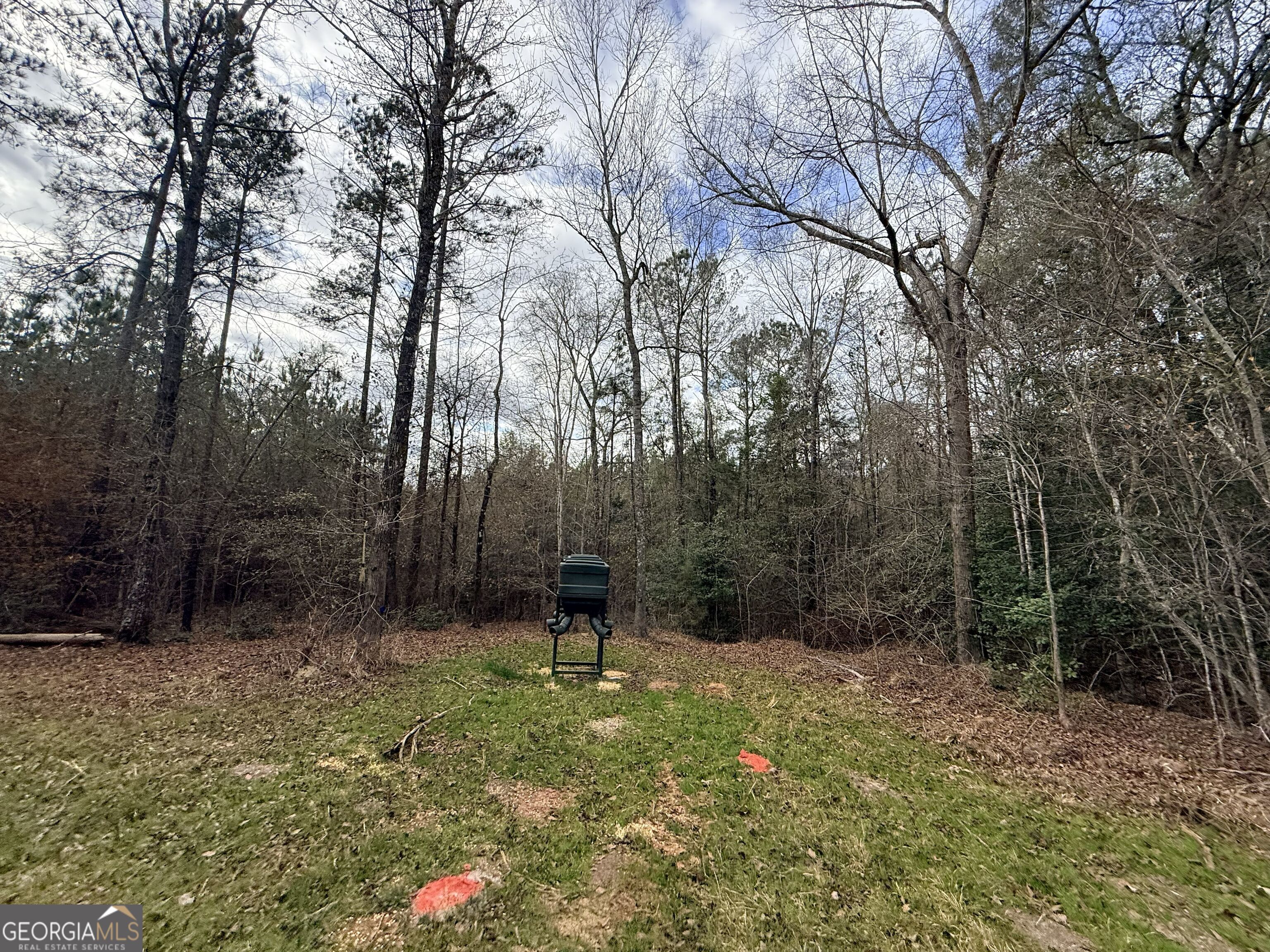 301 Beaver Dam Road Toomsboro, GA 31090 - Photo 82 of 99 a view of backyard with green space