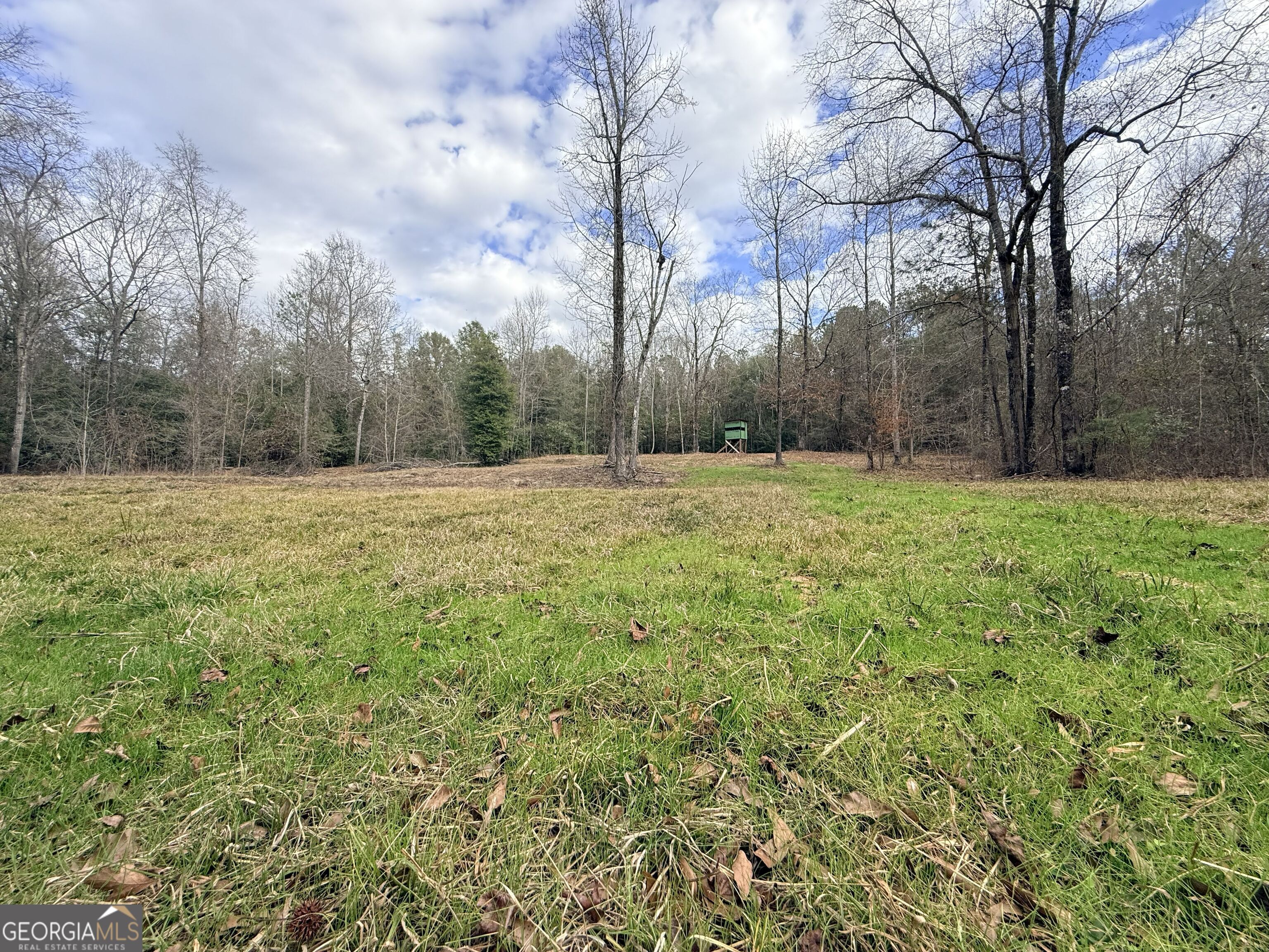 301 Beaver Dam Road Toomsboro, GA 31090 - Photo 85 of 99 a big yard with lots of green space and trees