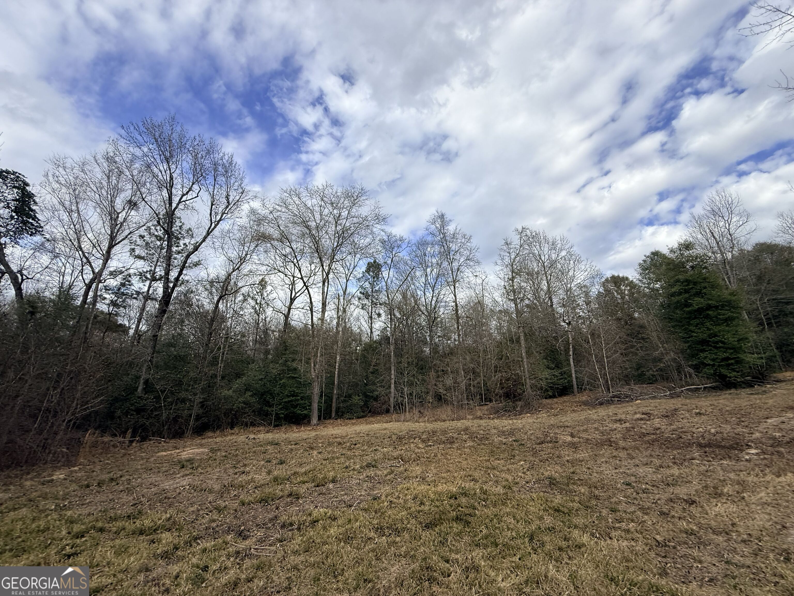 301 Beaver Dam Road Toomsboro, GA 31090 - Photo 86 of 99 a view of a forest with trees in the background
