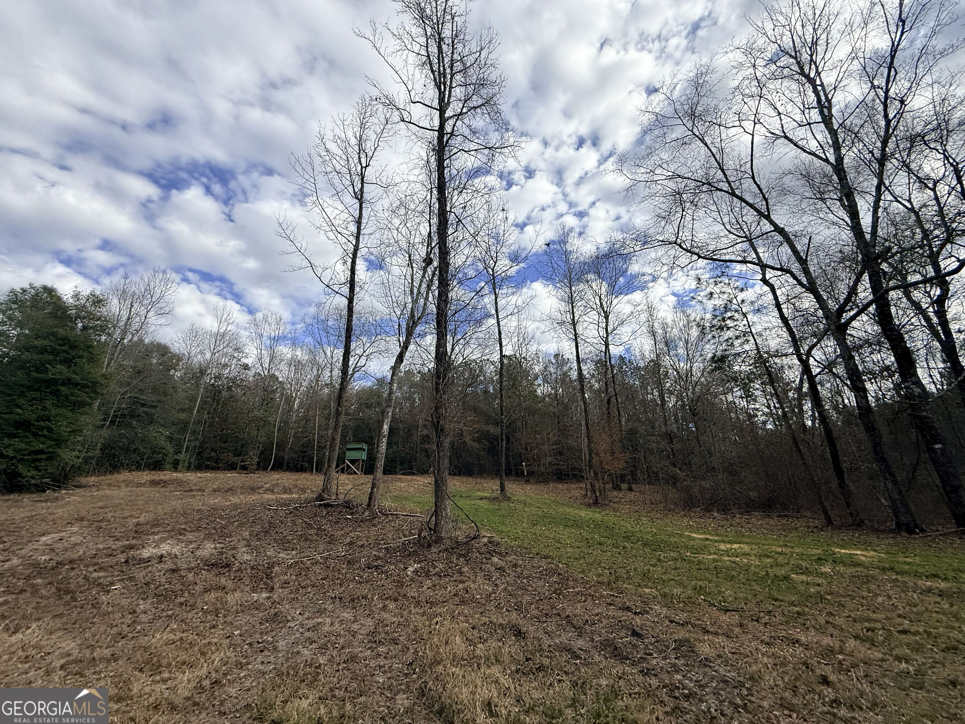 301 Beaver Dam Road Toomsboro, GA 31090 - Photo 87 of 99 a view of outdoor space with trees