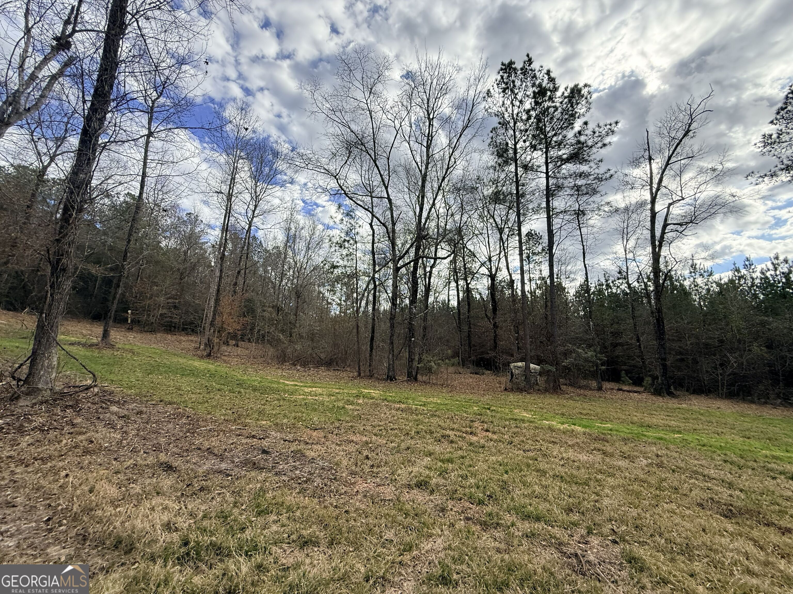 301 Beaver Dam Road Toomsboro, GA 31090 - Photo 88 of 99 a view of outdoor space with trees